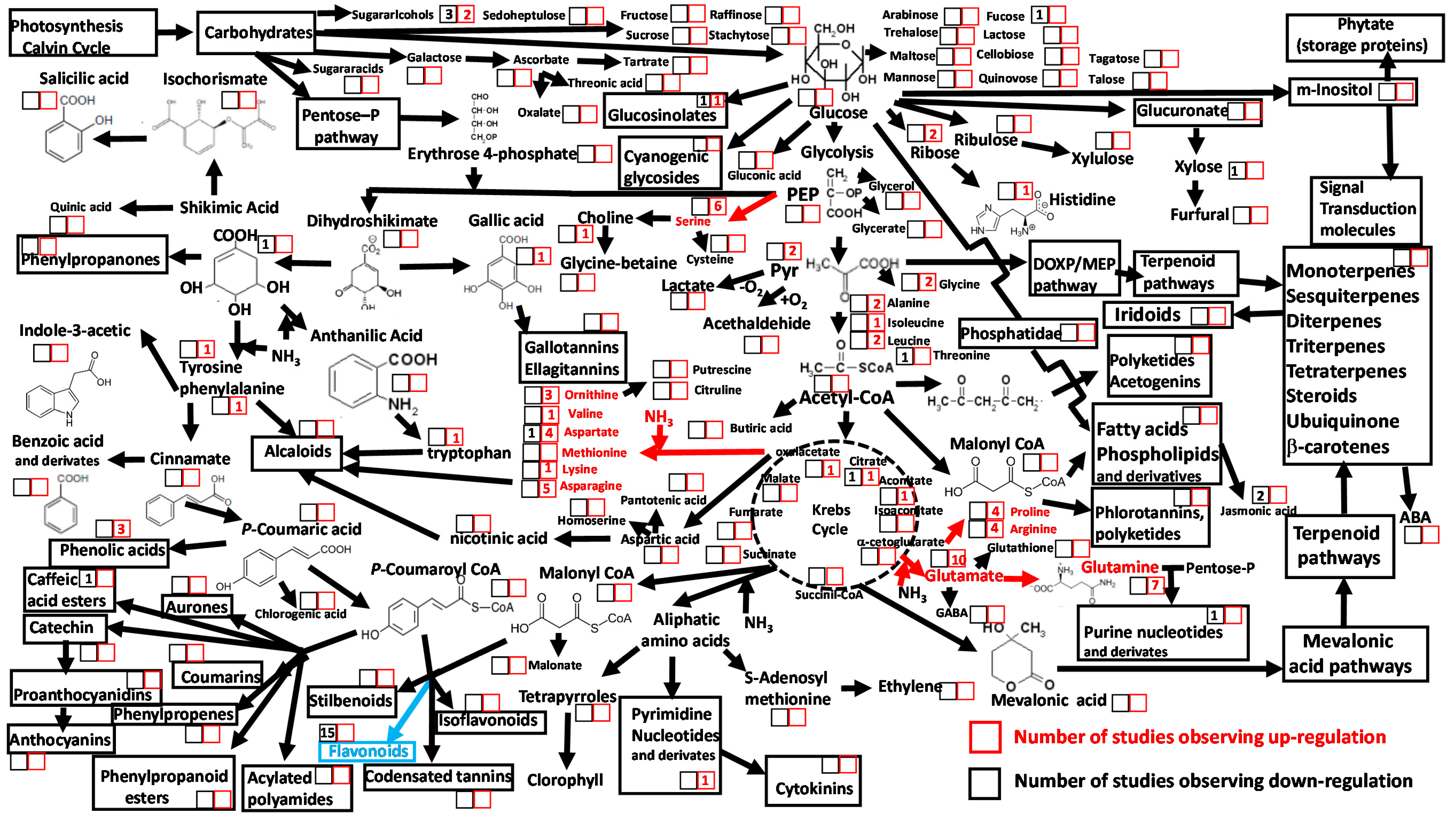 Metabolites 10 00239 g004 Metabolites 10 00239 g004