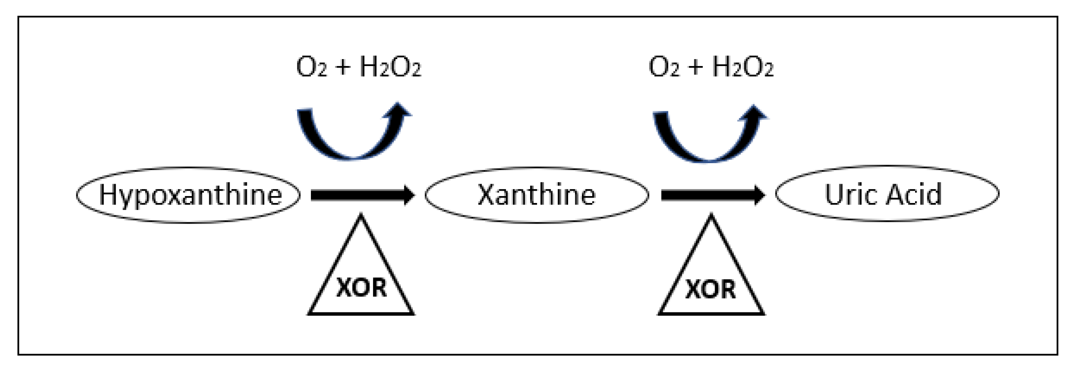 Metabolites 10 00259 g001 Metabolites 10 00259 g001