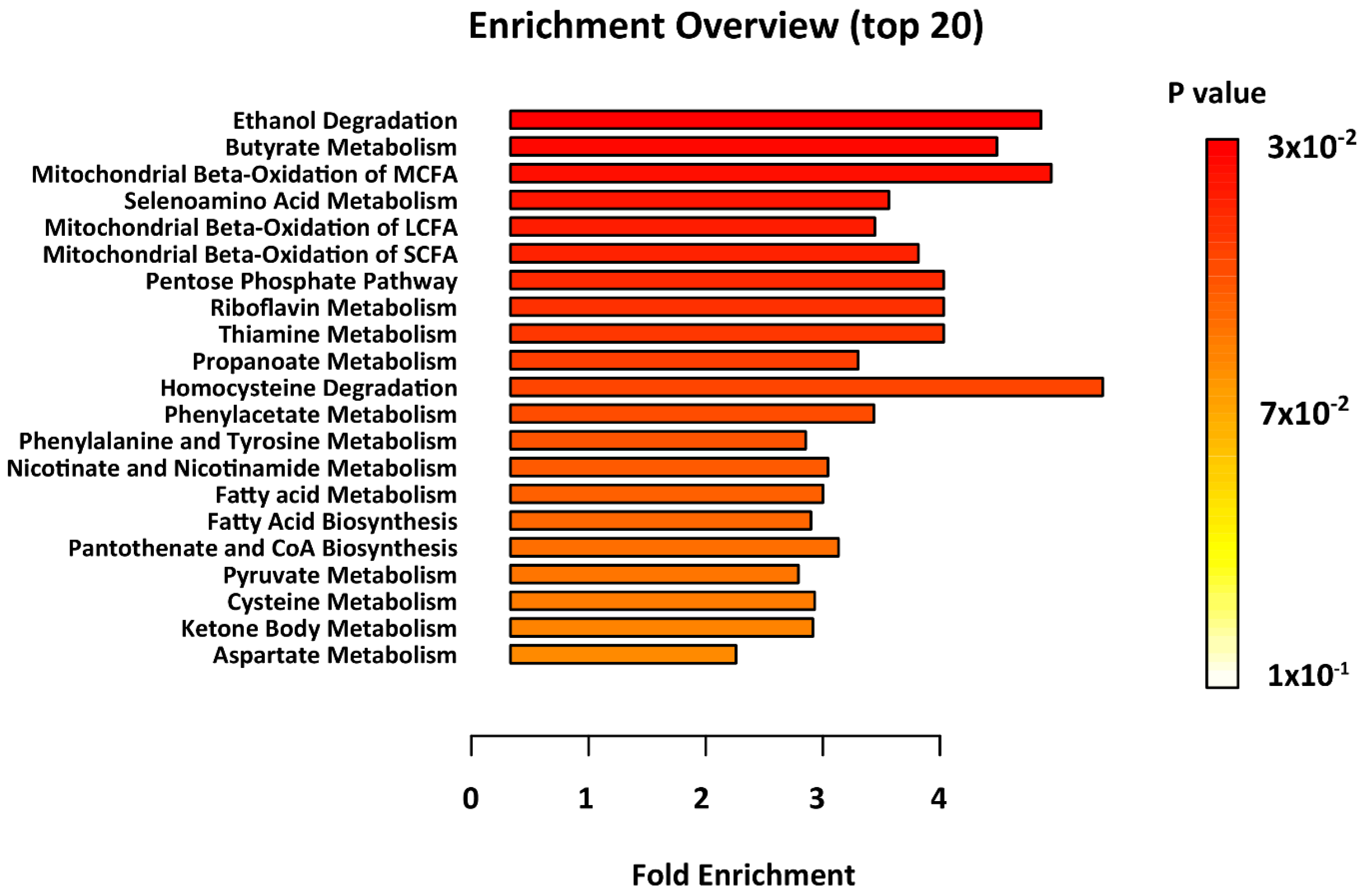 Metabolites 10 00261 g002 Metabolites 10 00261 g002