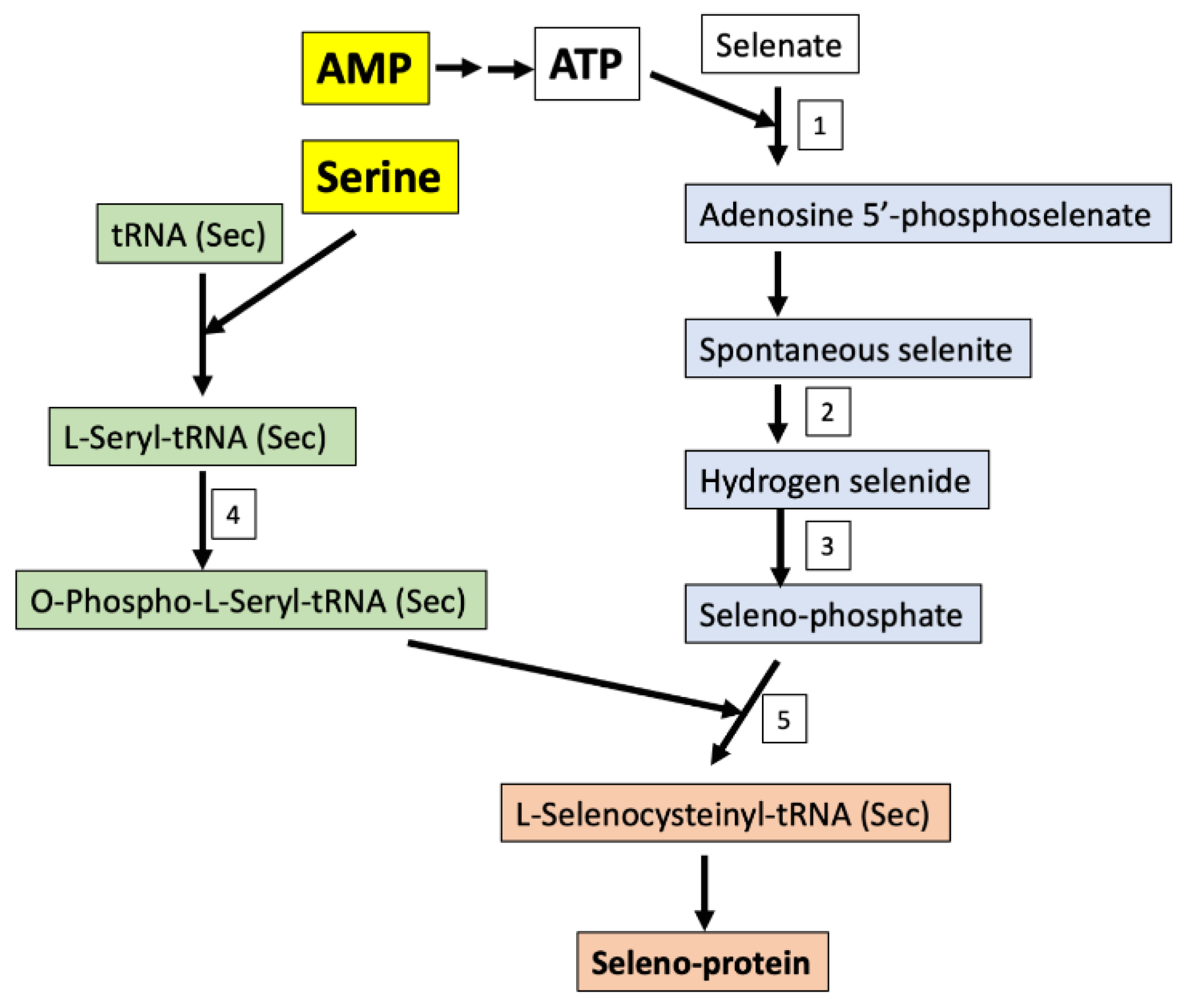 Metabolites 10 00261 g004 Metabolites 10 00261 g004