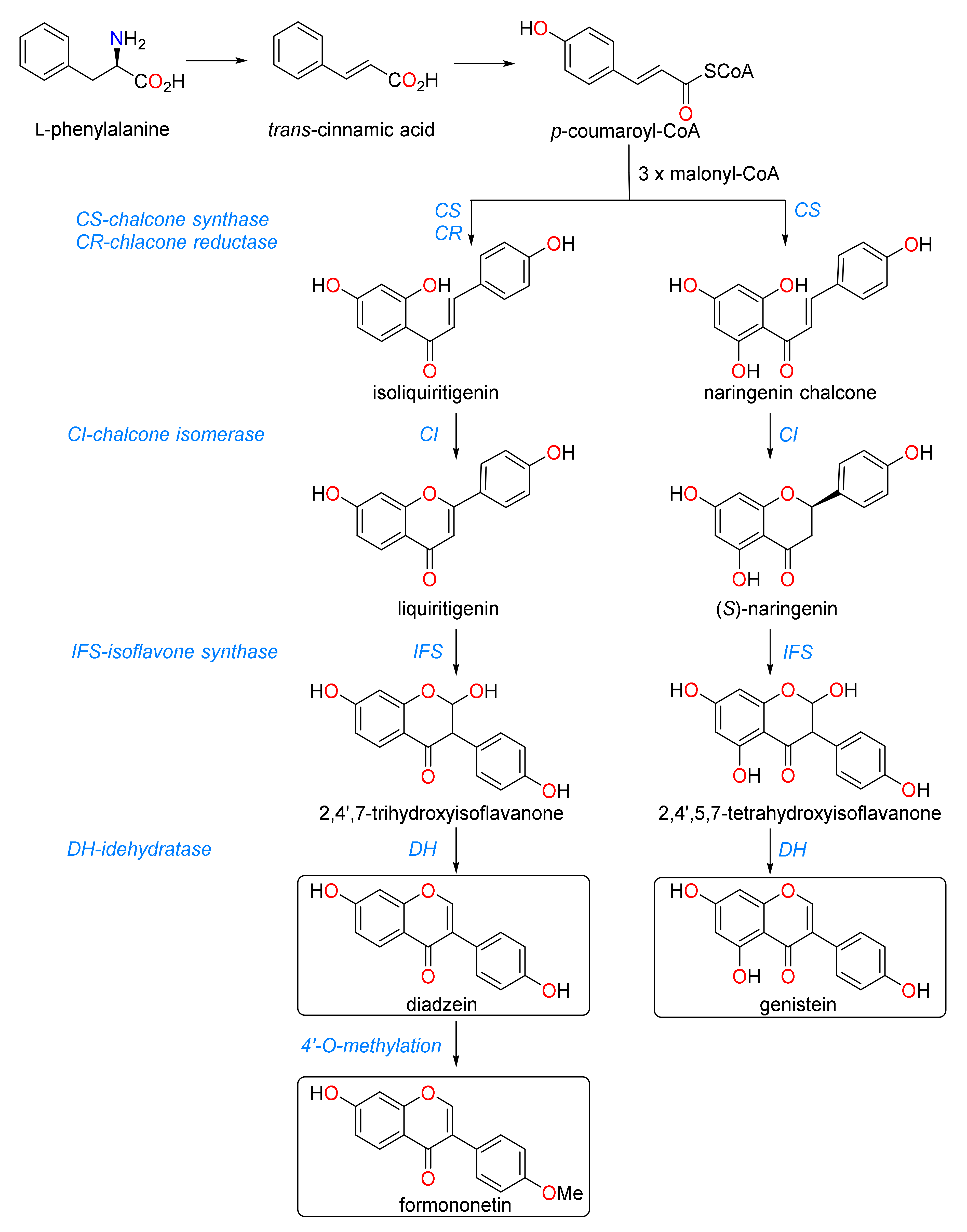 Metabolites 10 00267 g004