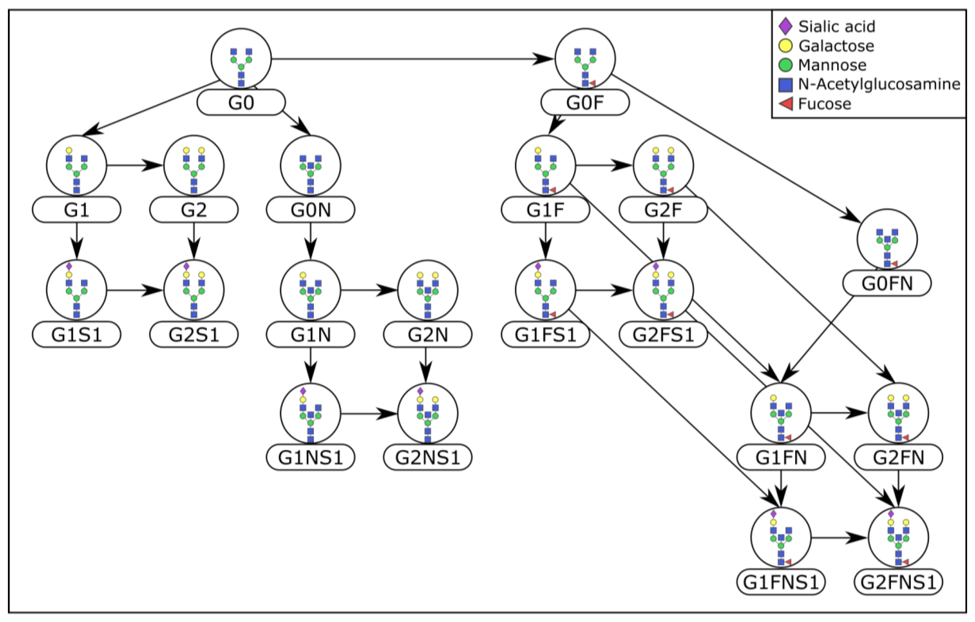 Metabolites 10 00271 g002