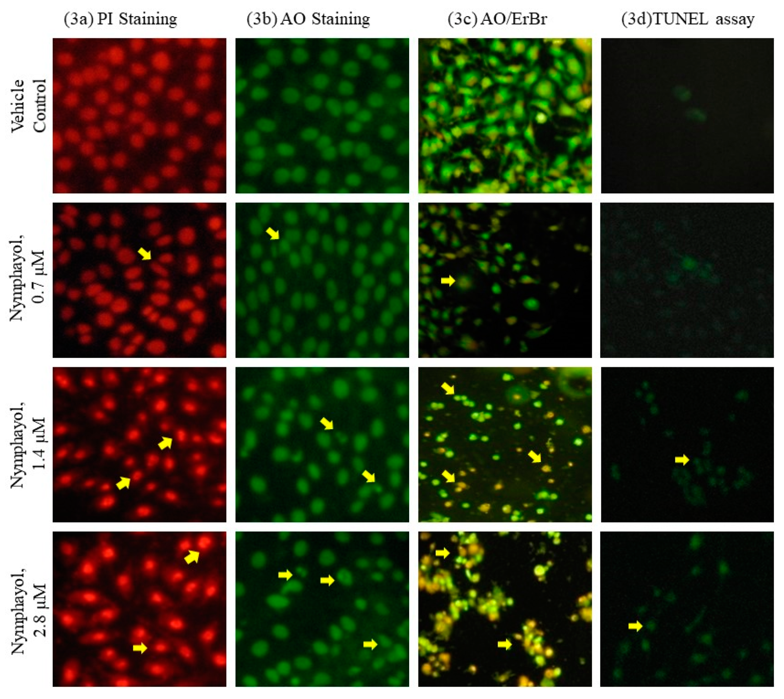 Metabolites 10 00280 g003