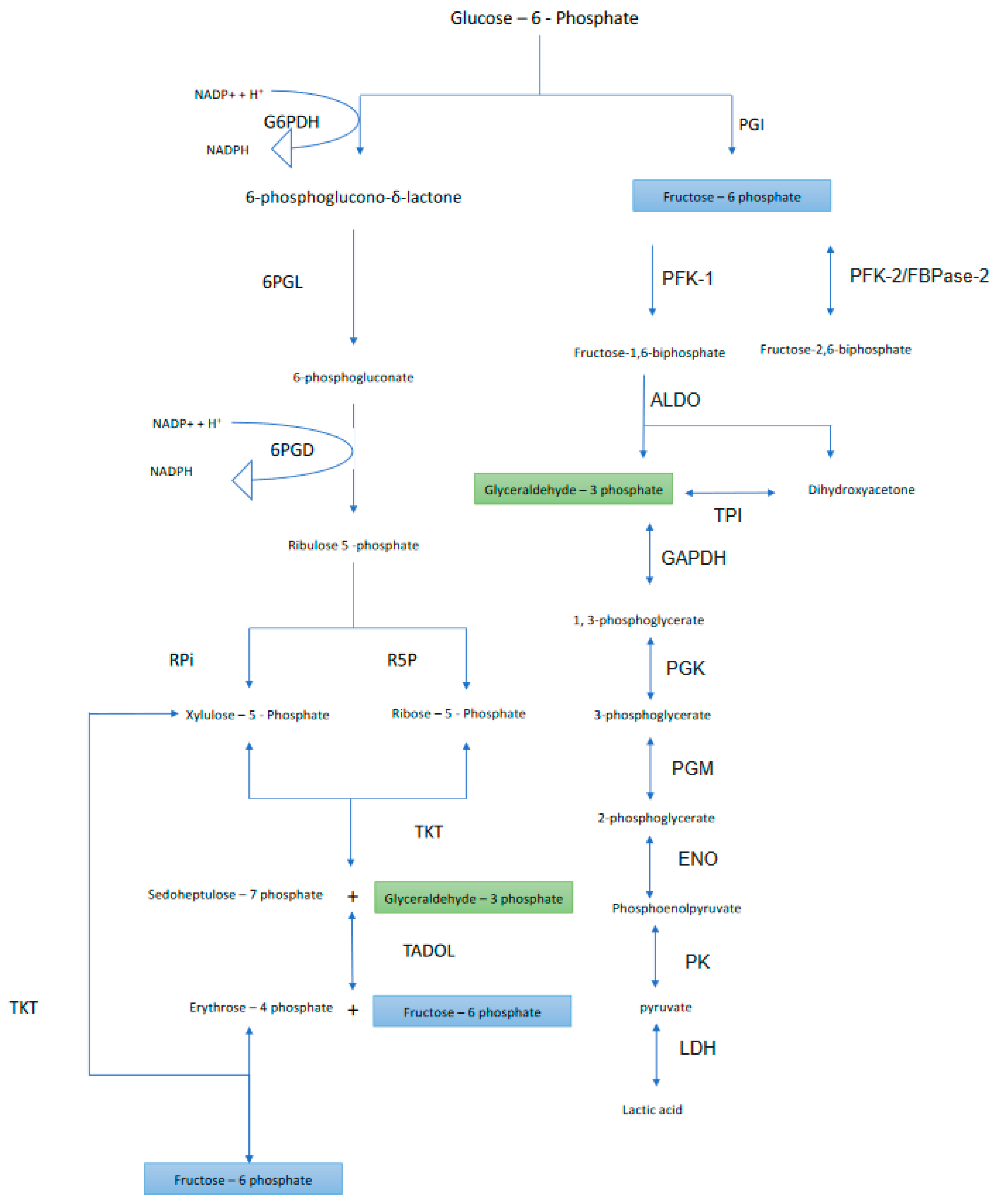 Metabolites 10 00285 g001