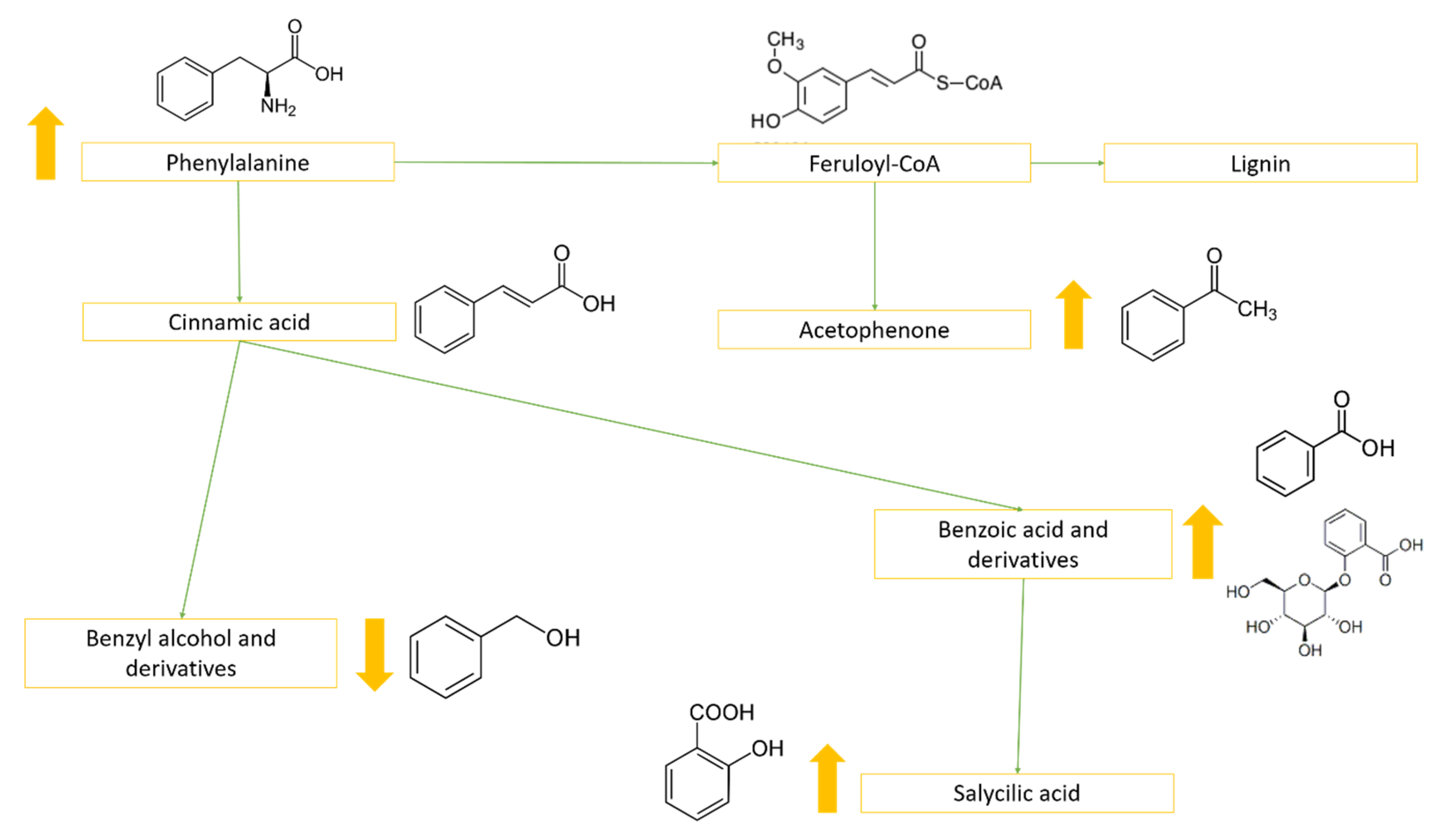 Metabolites 10 00310 g005