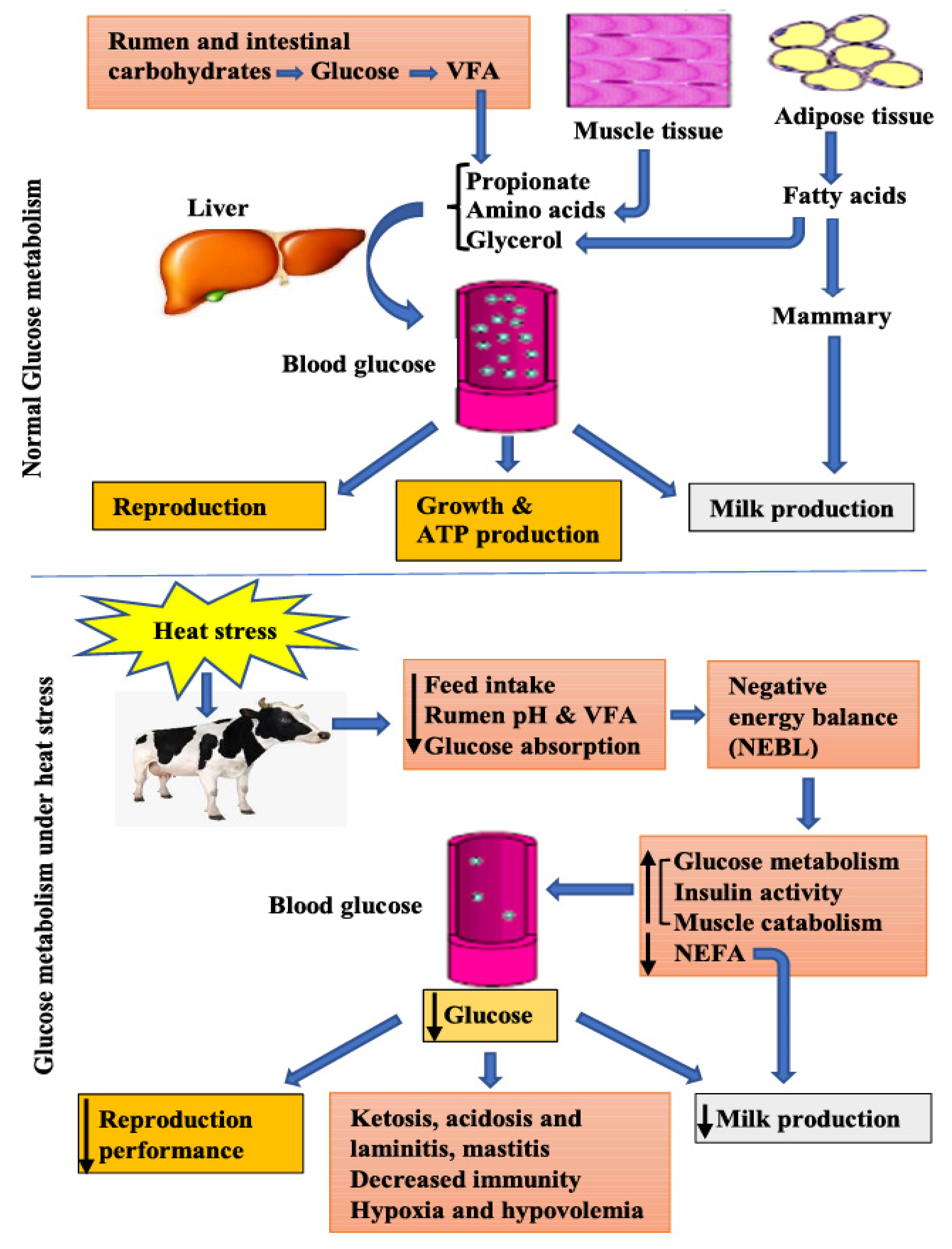Metabolites 10 00312 g001