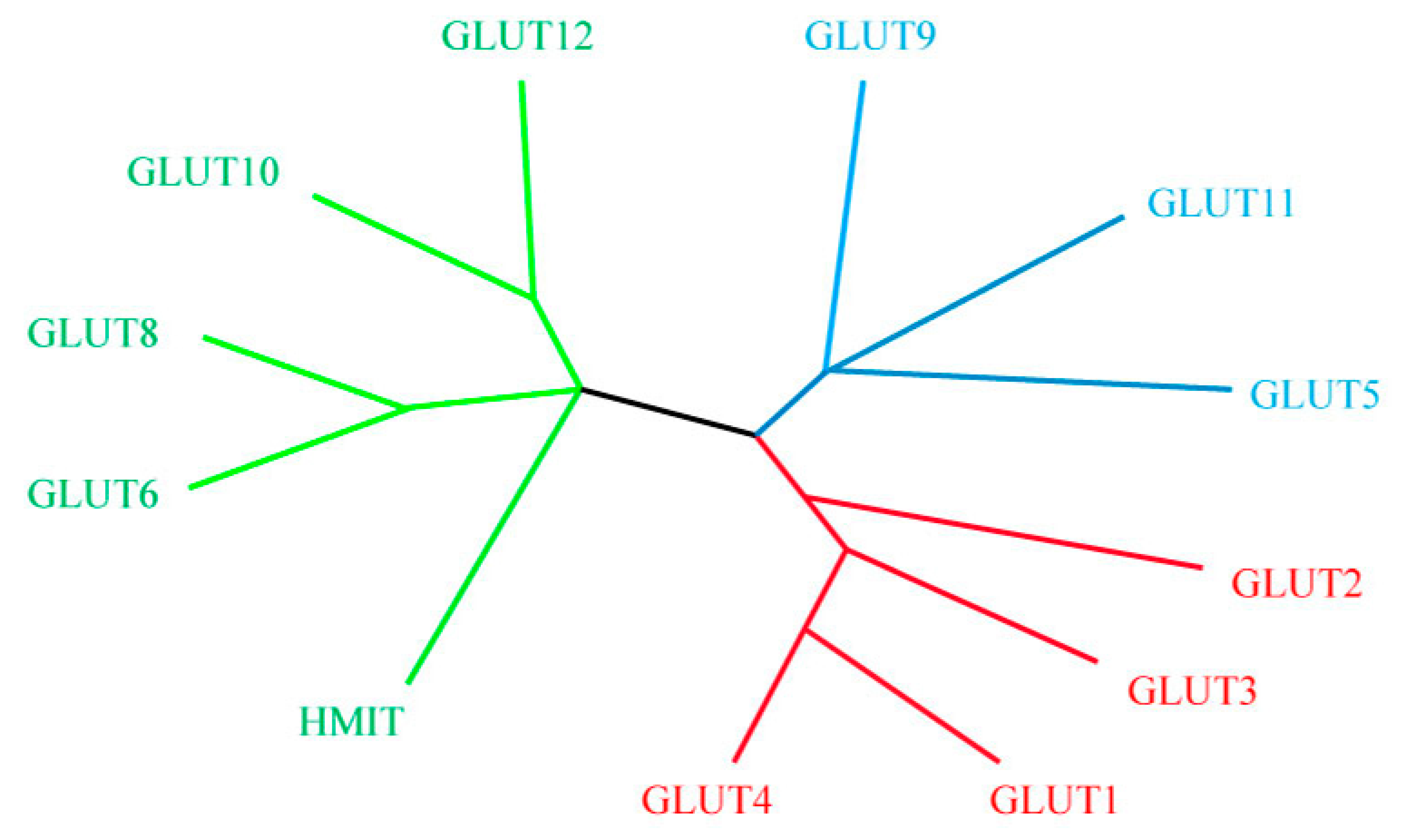 Metabolites 10 00312 g002