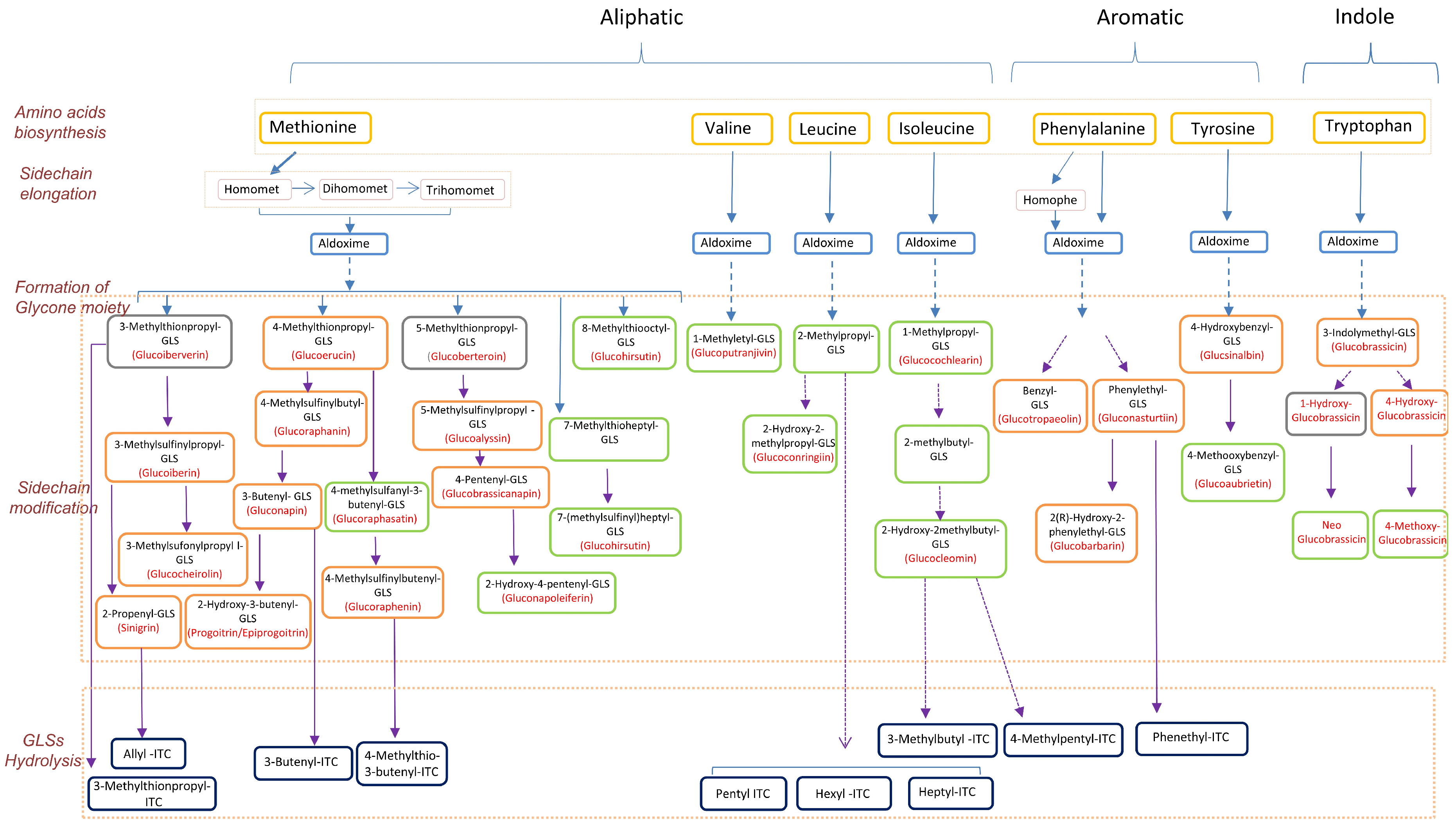 Metabolites 10 00313 g003