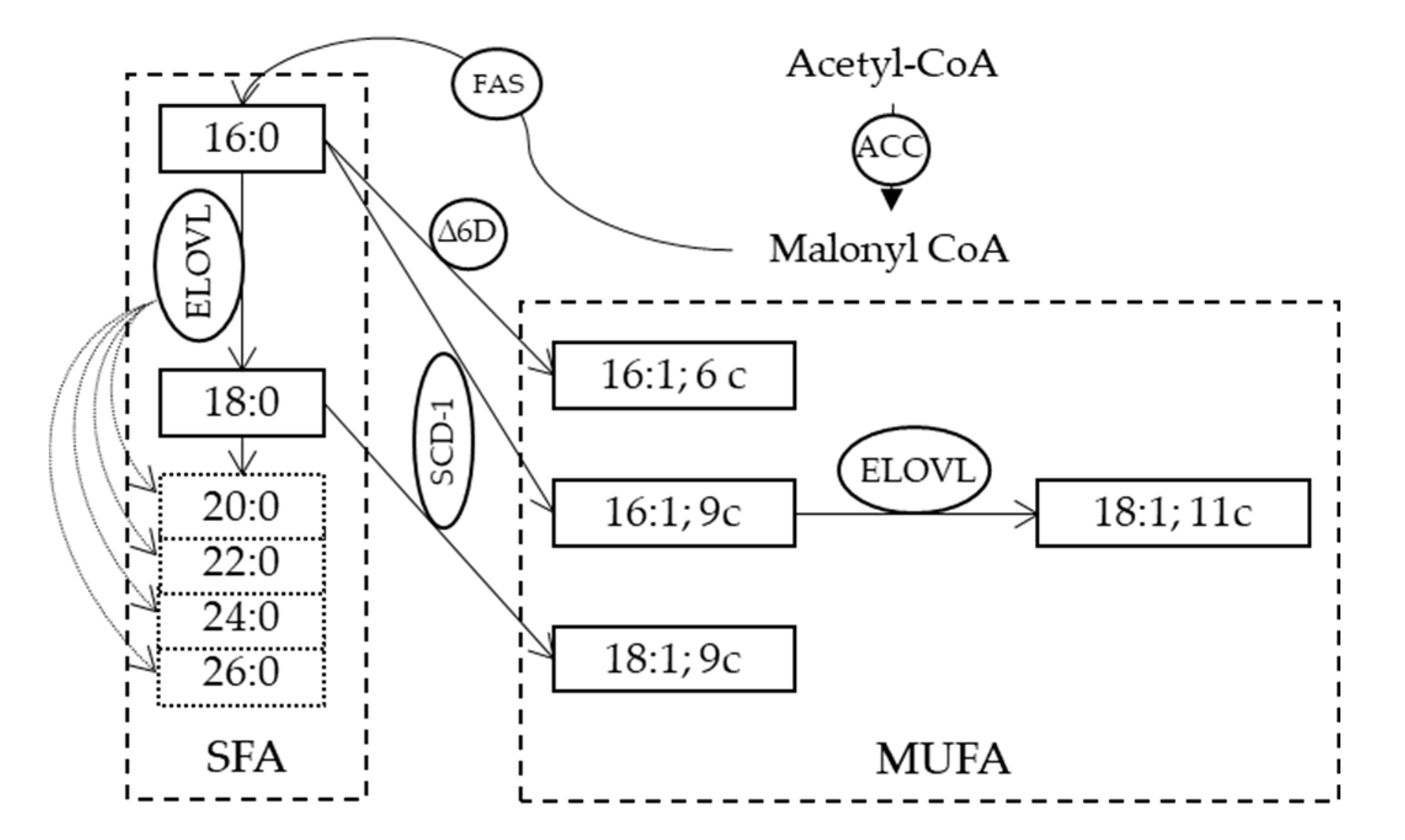 Metabolites 10 00345 g003 Metabolites 10 00345 g003