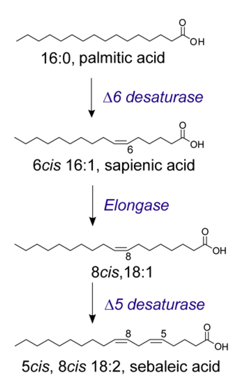 Metabolites 10 00345 g004 Metabolites 10 00345 g004