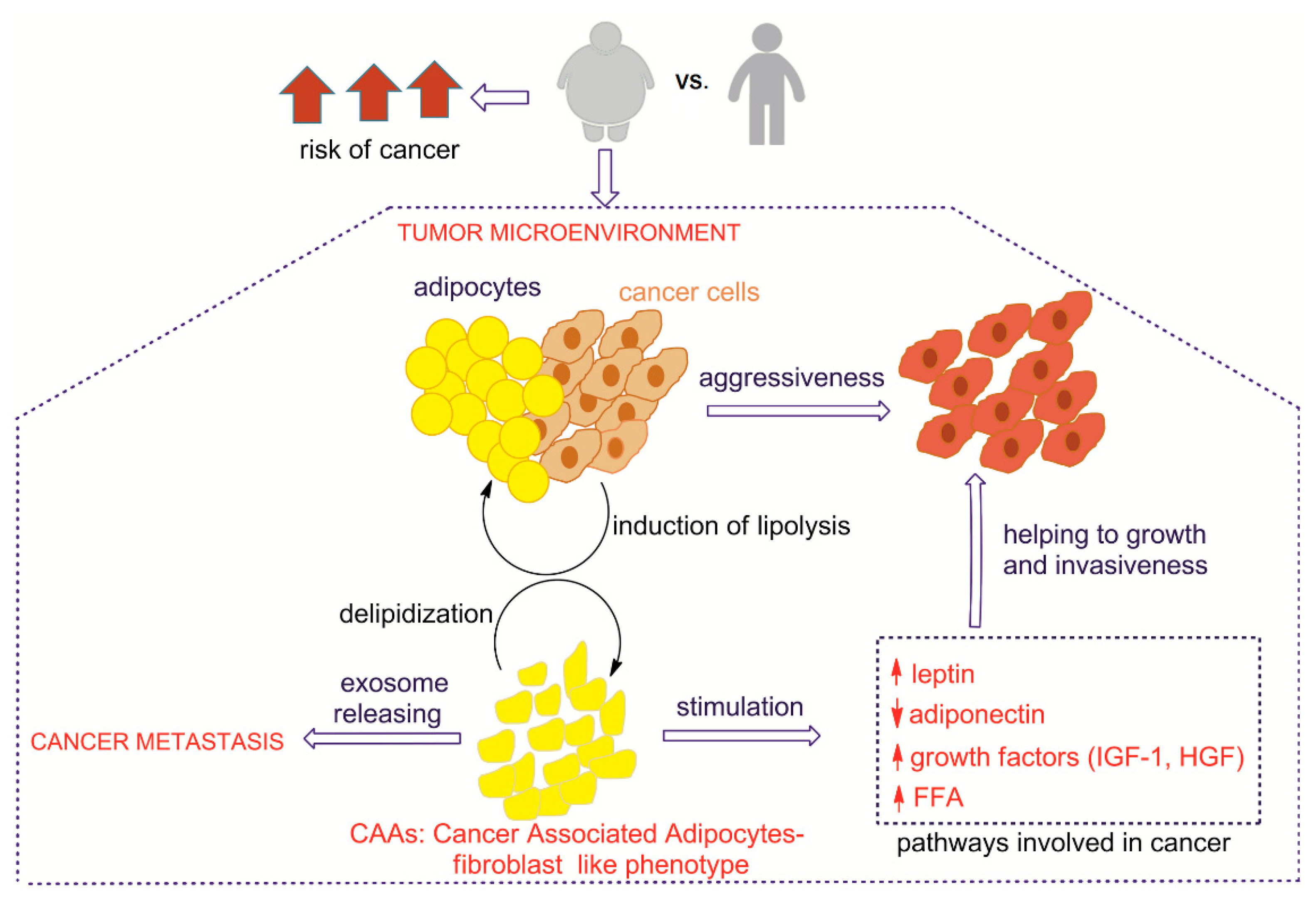 Metabolites 10 00345 g005 Metabolites 10 00345 g005