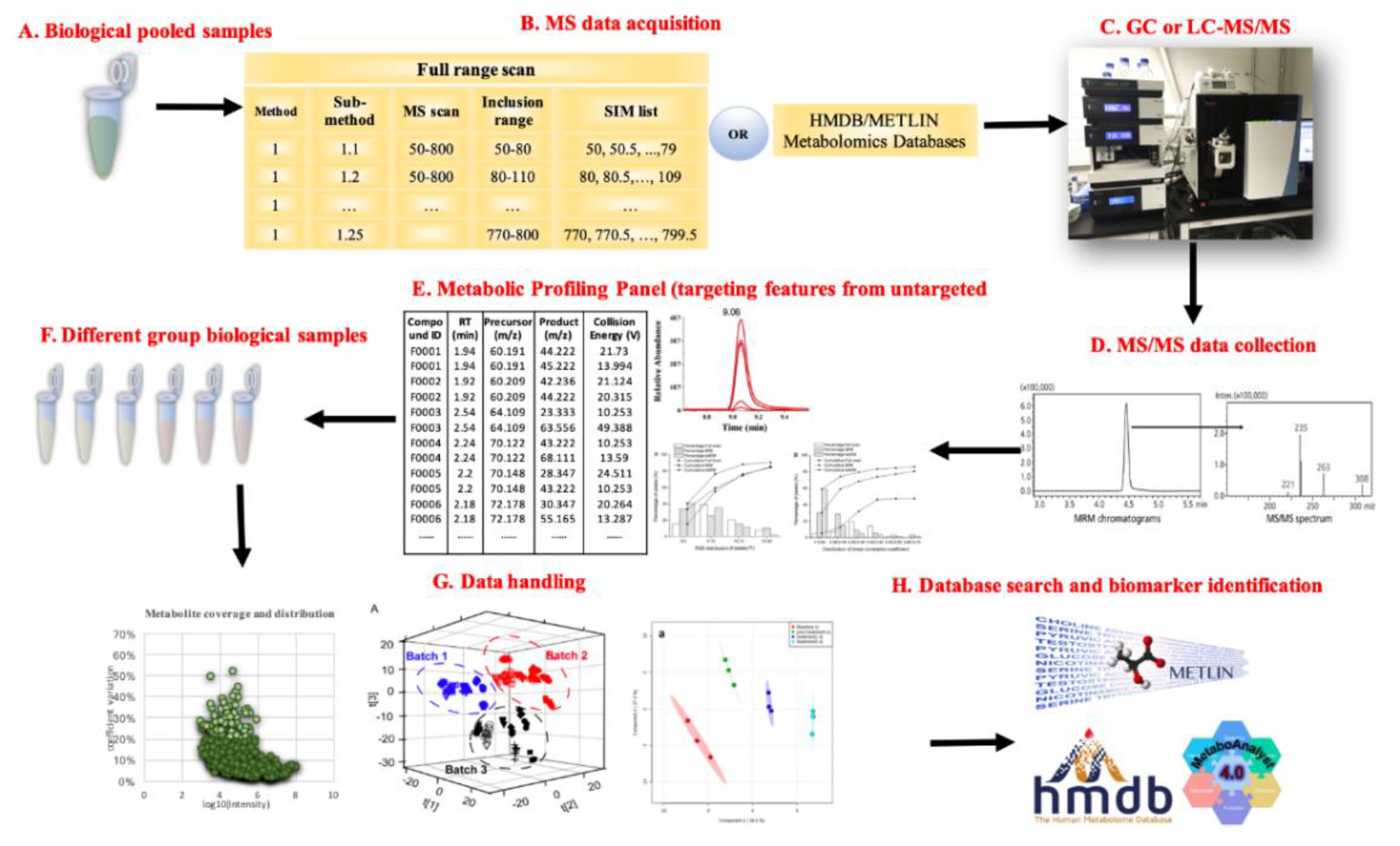 Metabolites 10 00348 g002 Metabolites 10 00348 g002