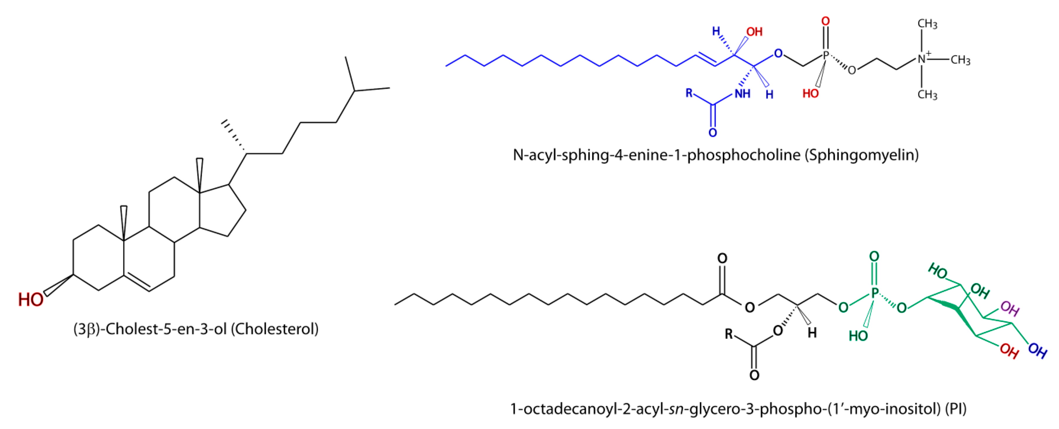 Metabolites 10 00356 g002