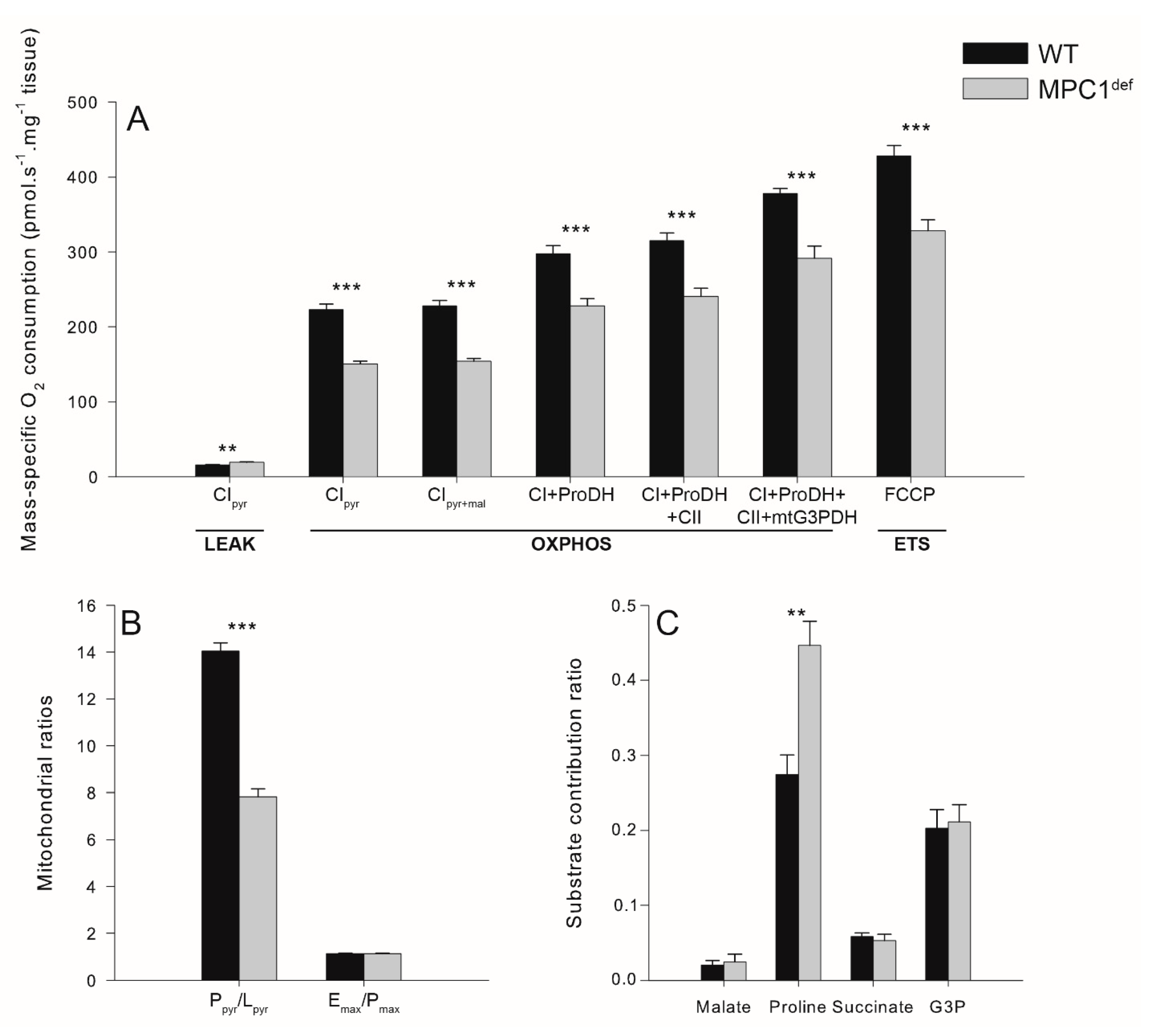 Metabolites 10 00363 g002