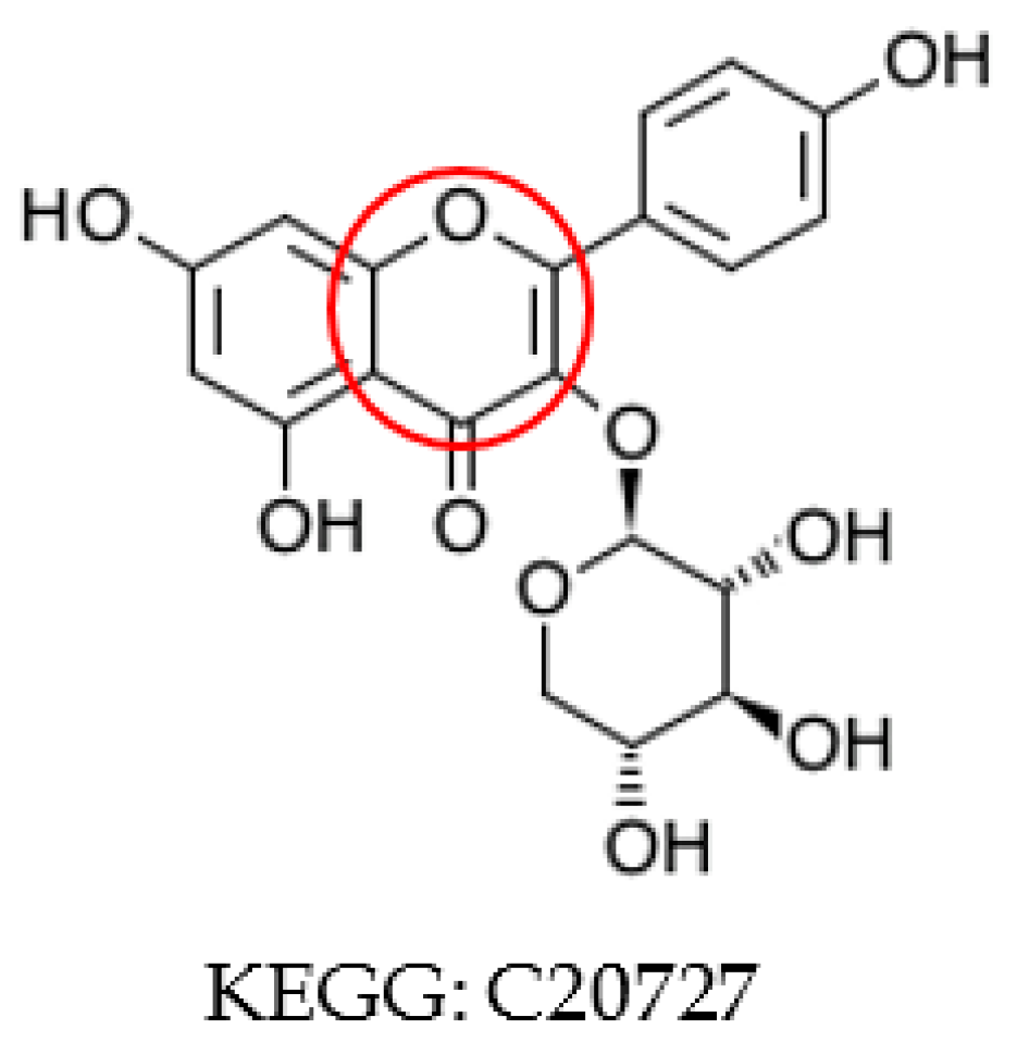 Metabolites 10 00368 g002 Metabolites 10 00368 g002