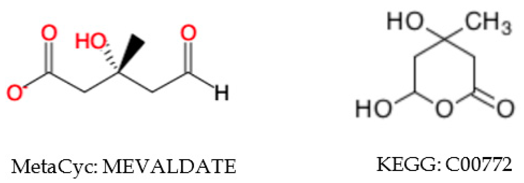 Metabolites 10 00368 g009 Metabolites 10 00368 g009
