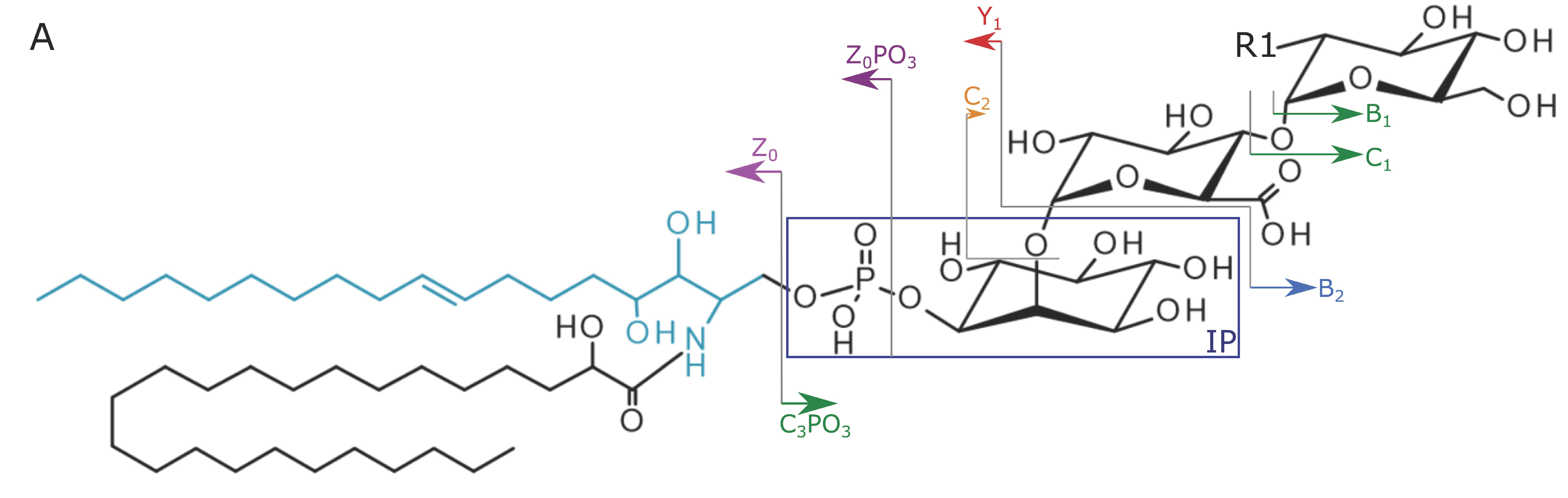 Metabolites 10 00375 g002a