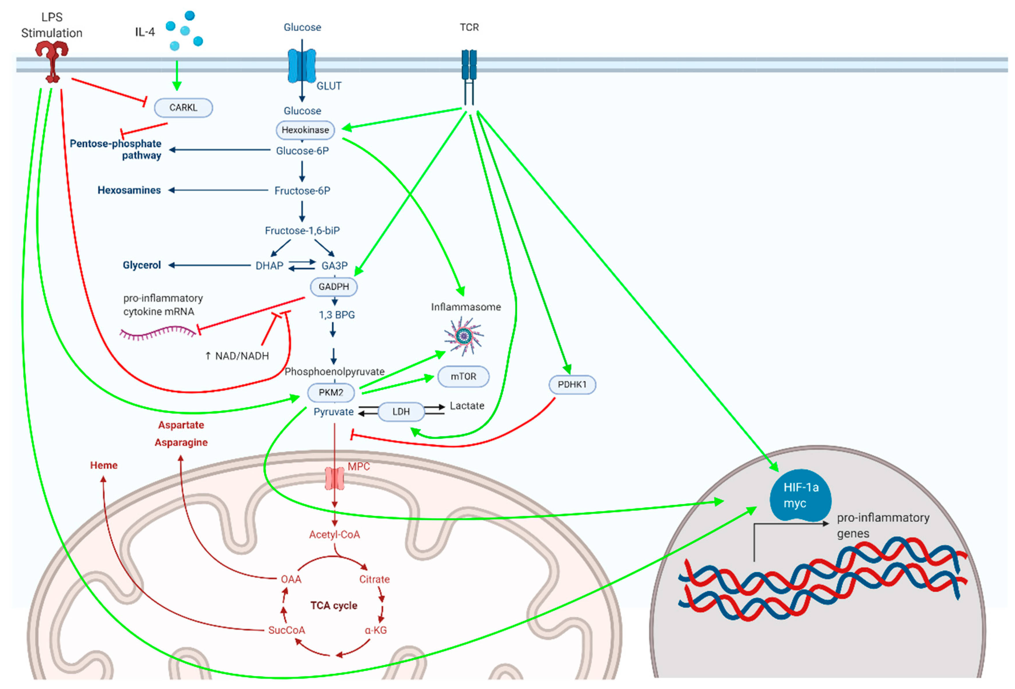 Metabolites 10 00426 g001