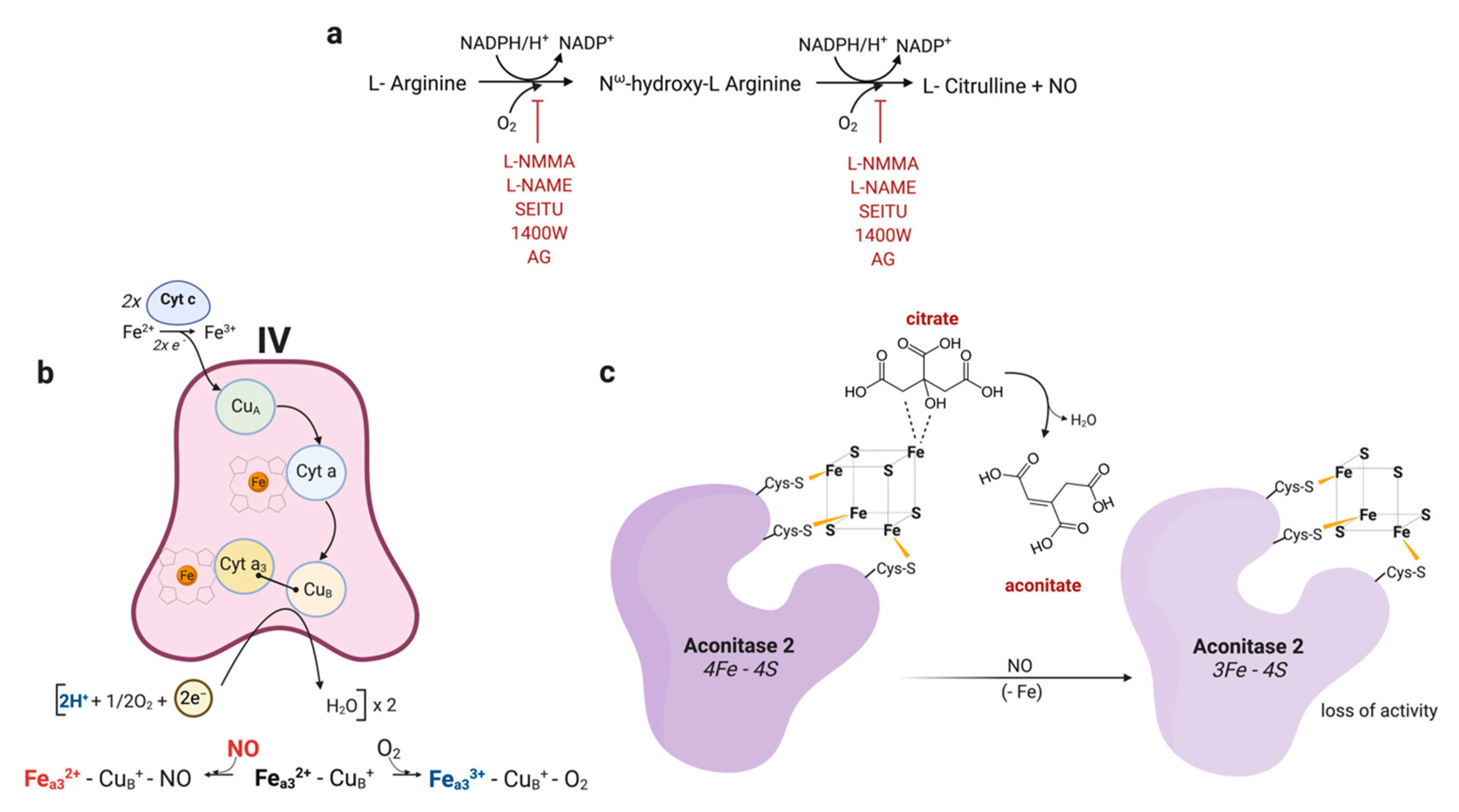 Metabolites 10 00429 g001