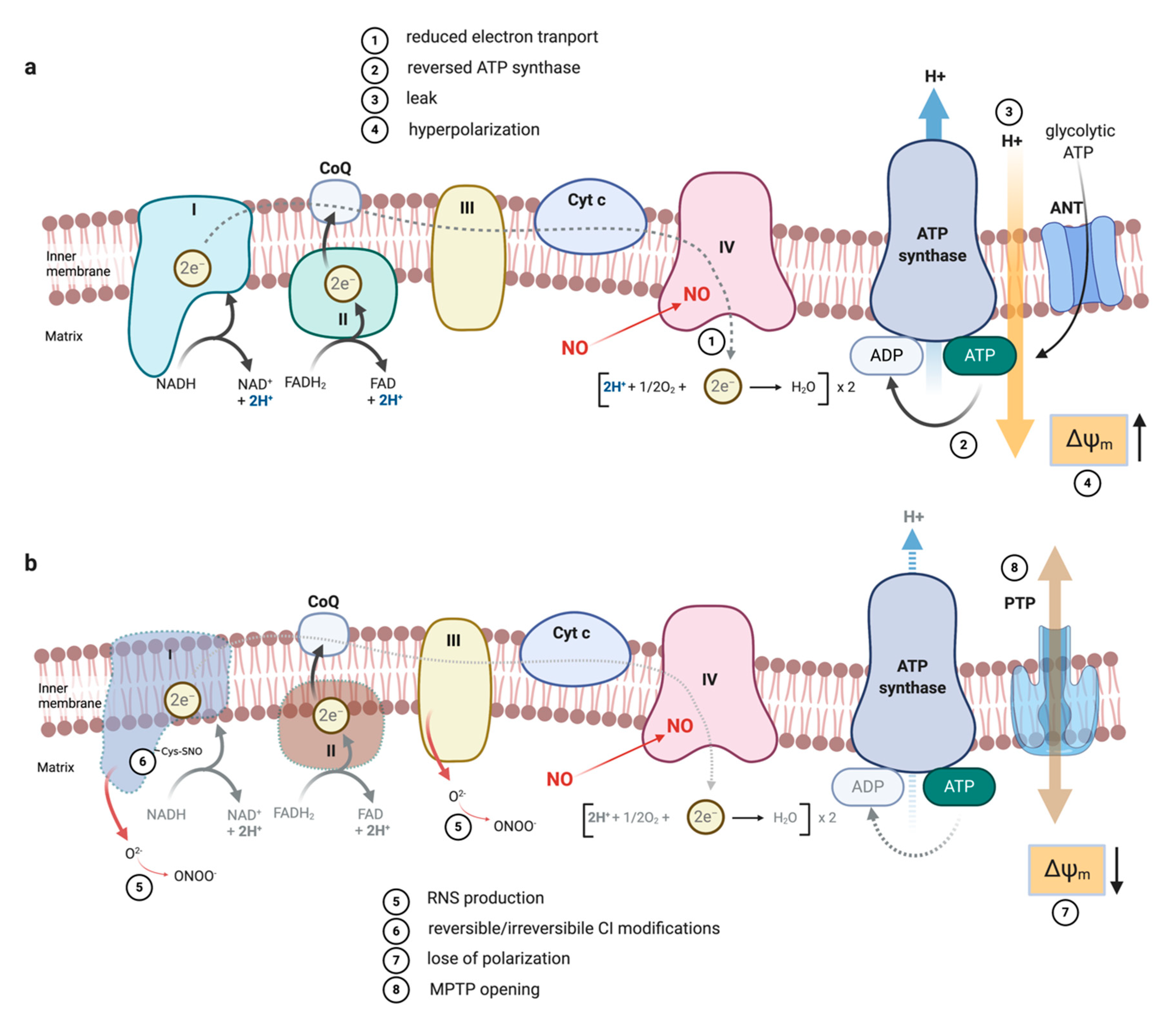 Metabolites 10 00429 g002