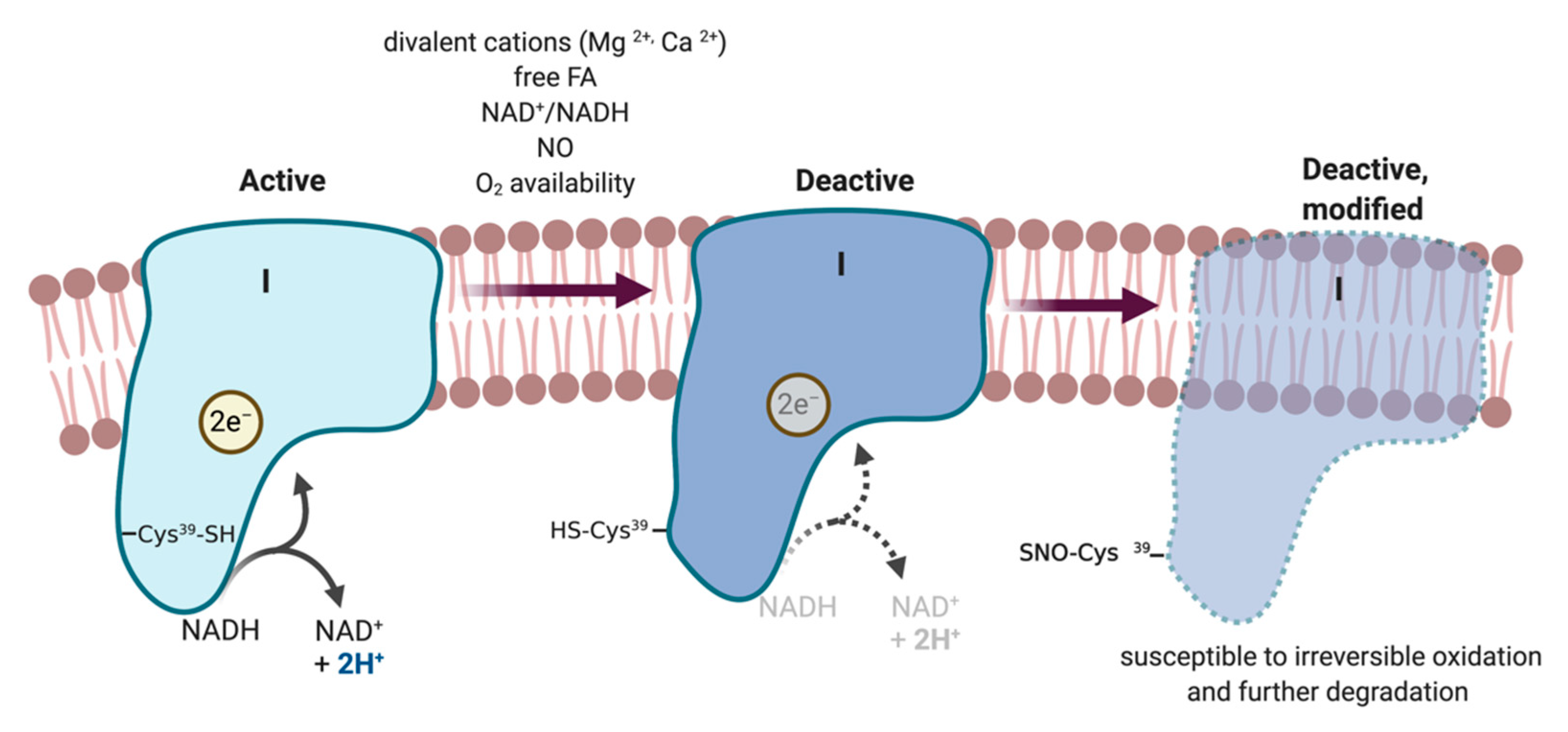 Metabolites 10 00429 g003