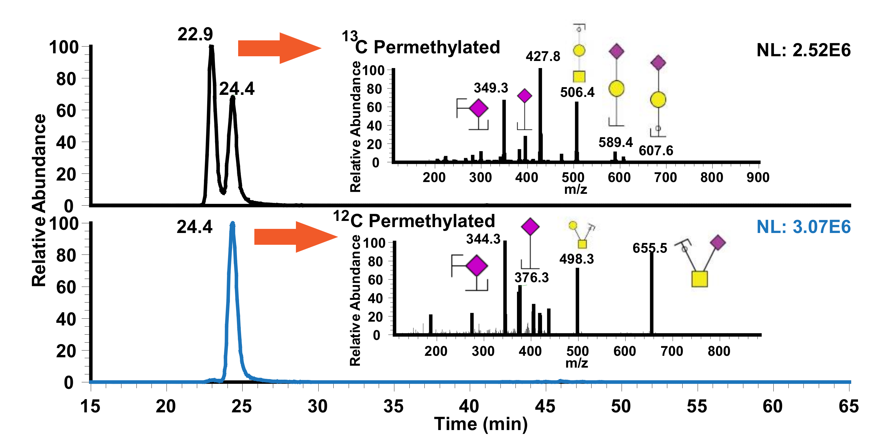 Metabolites 10 00433 g003 Metabolites 10 00433 g003