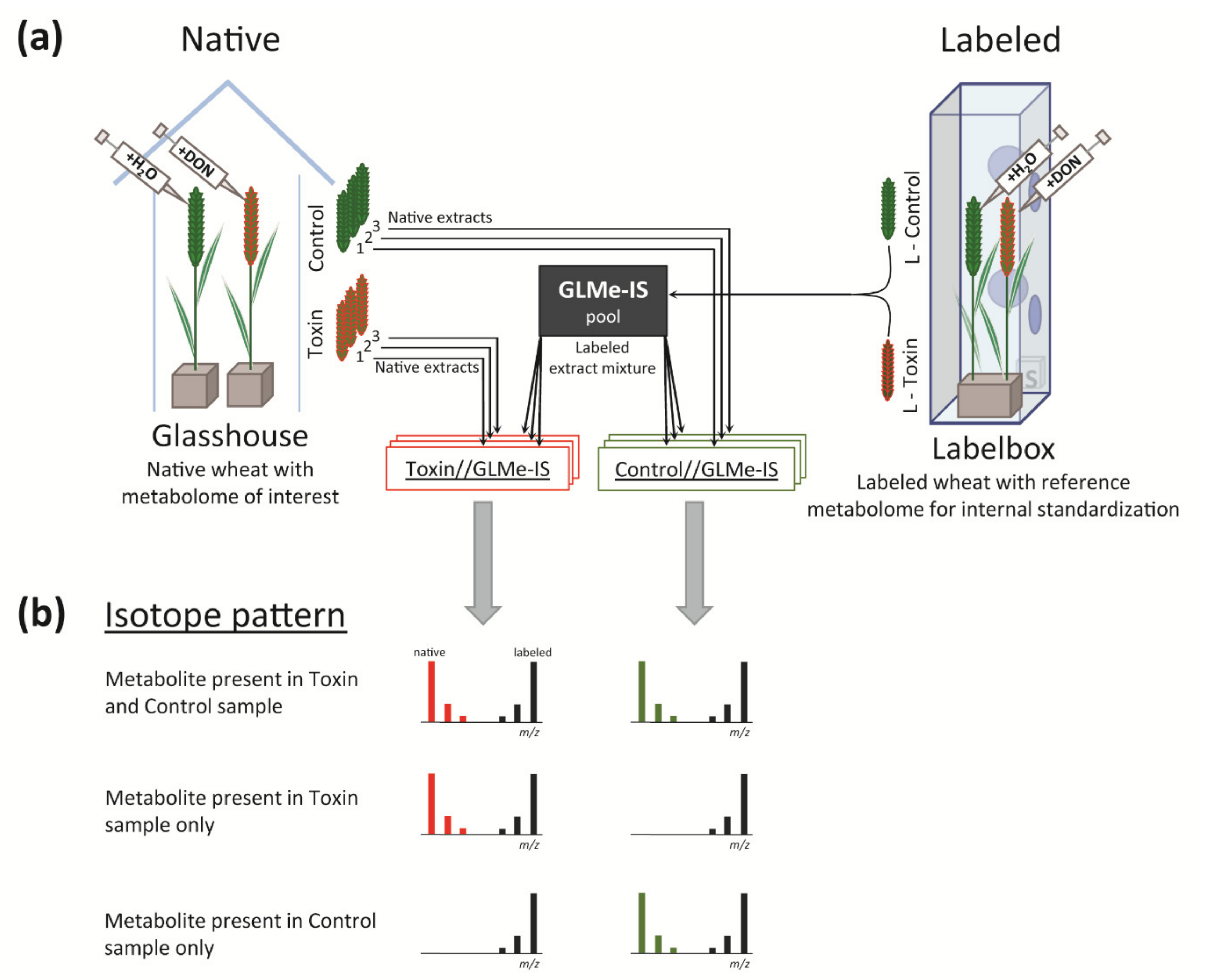 Metabolites 10 00434 g001