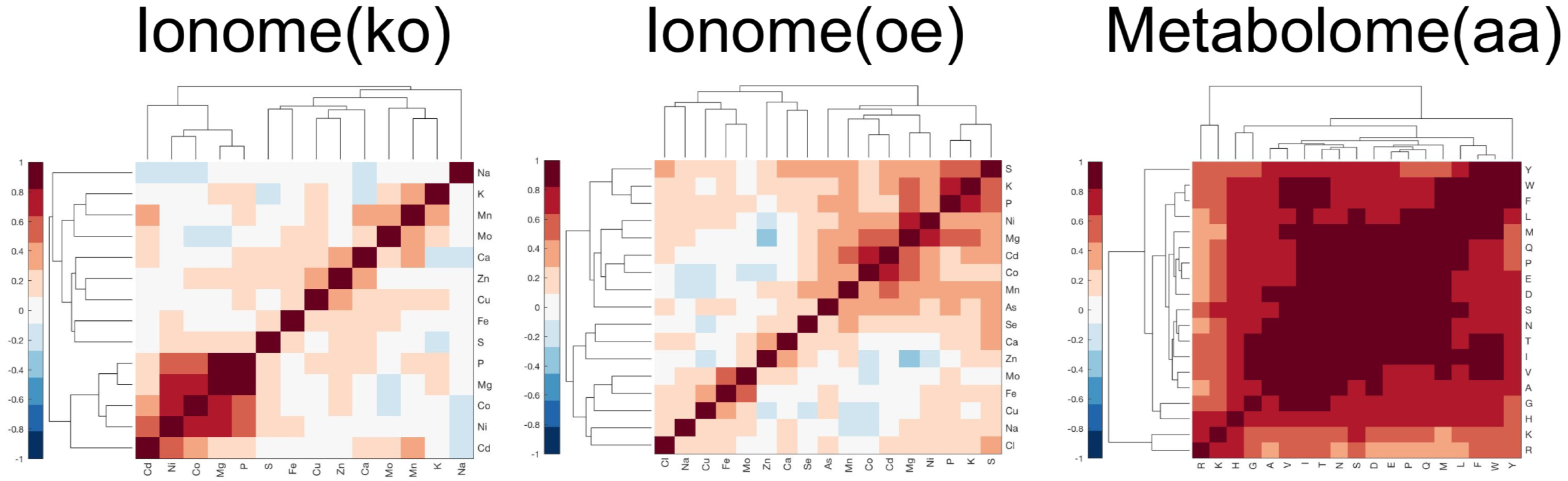 Metabolites 10 00435 g001