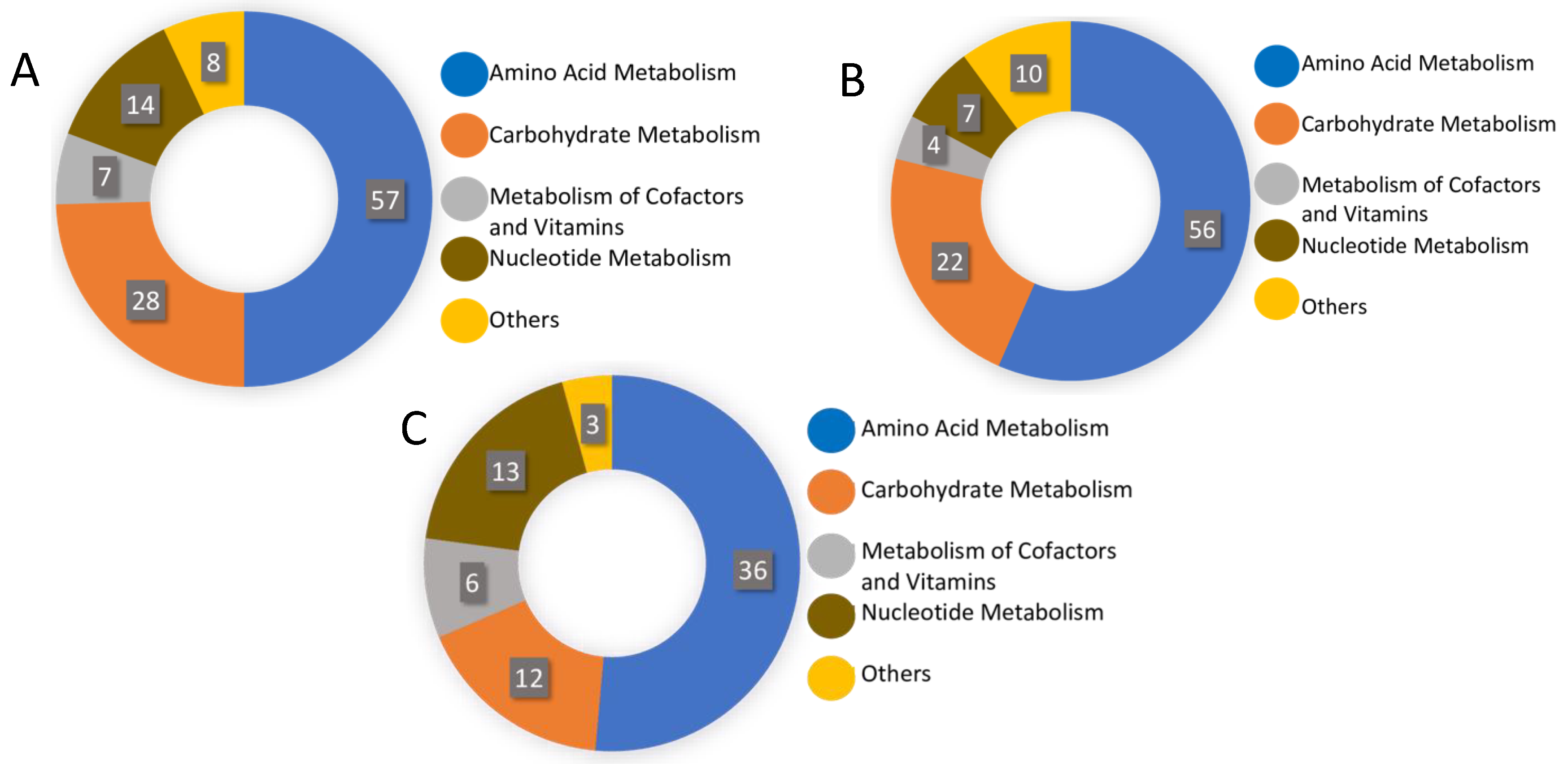 Metabolites 10 00446 g002
