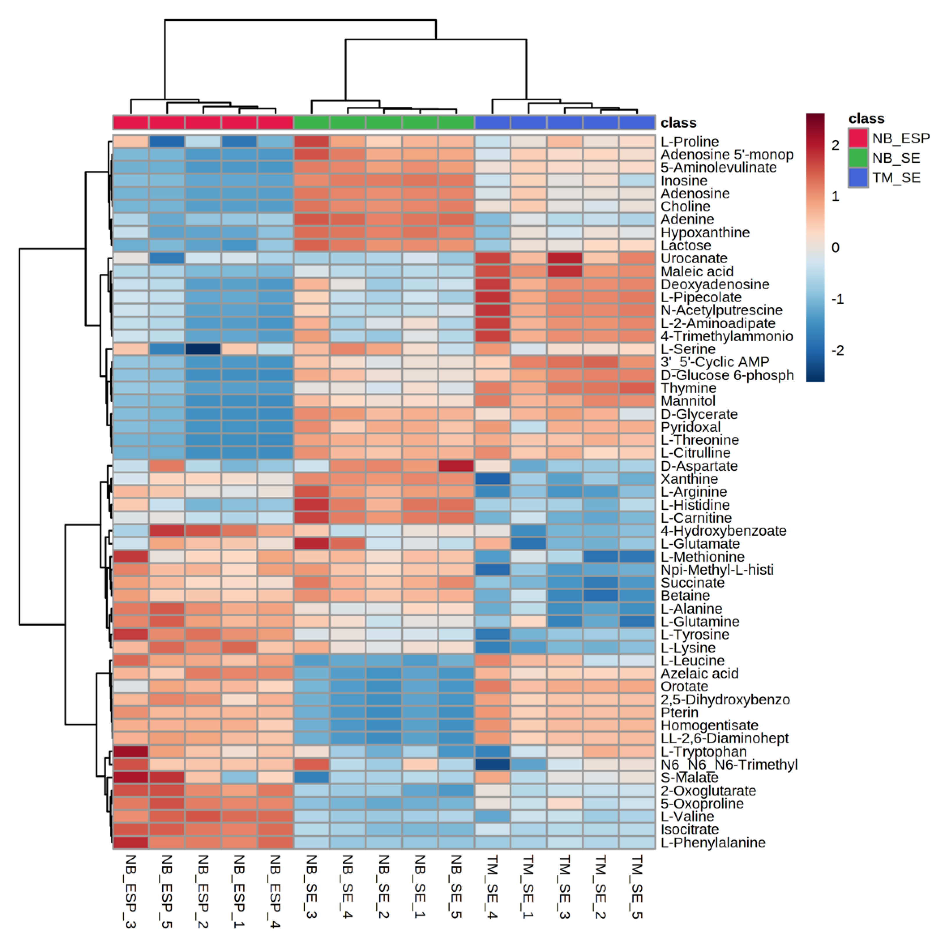 Metabolites 10 00446 g005