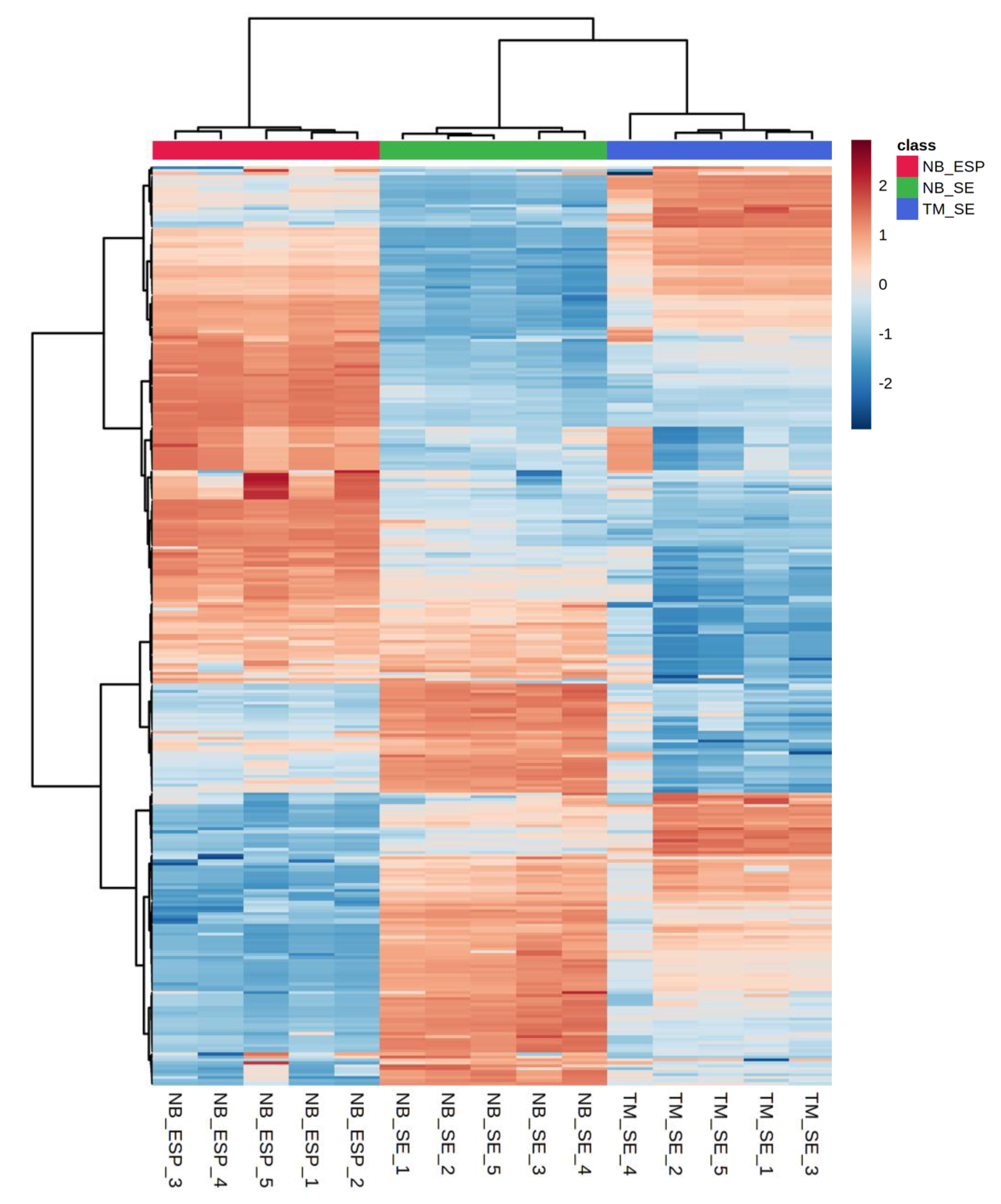 Metabolites 10 00446 g009