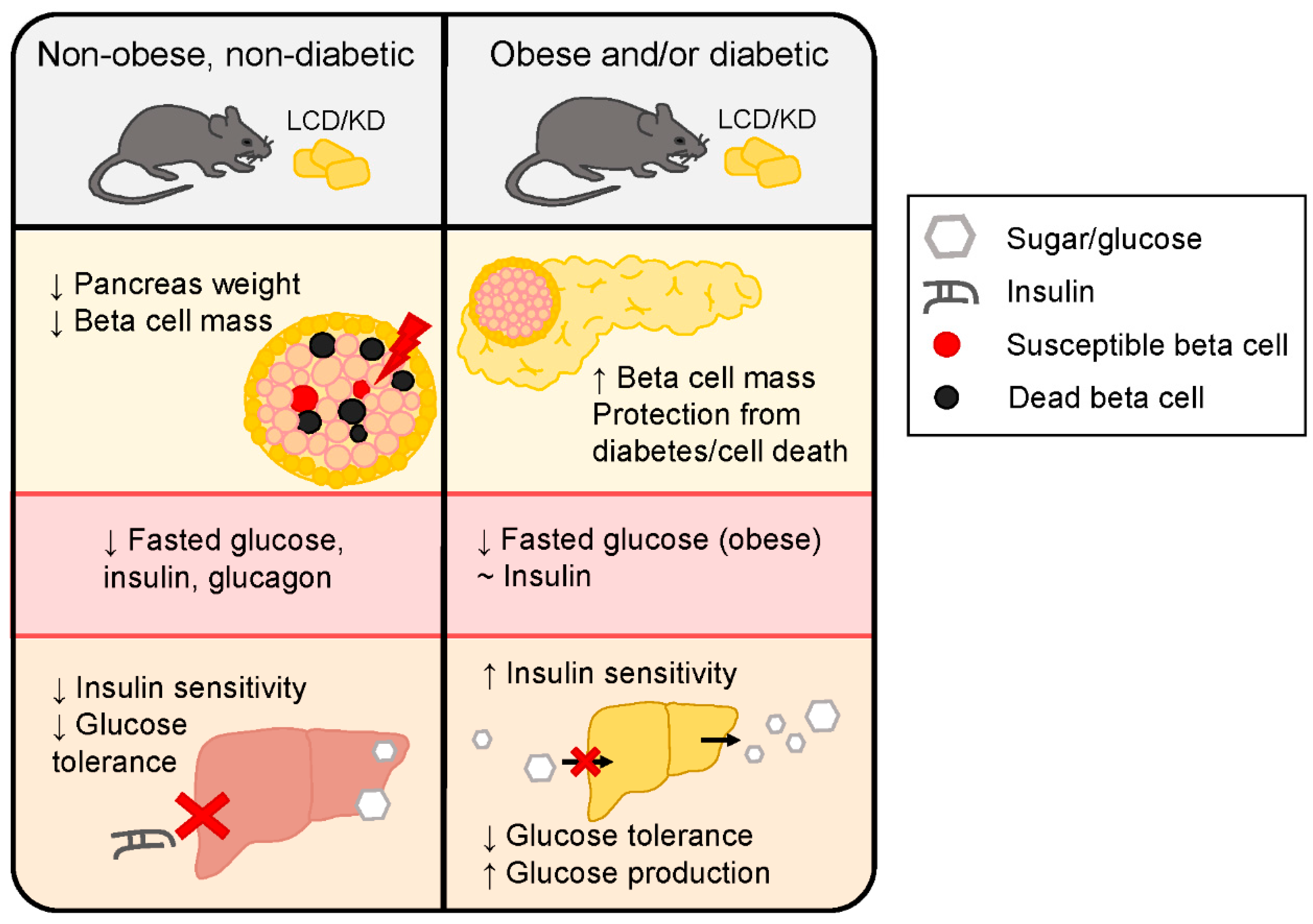 Metabolites 10 00455 g001 Metabolites 10 00455 g001