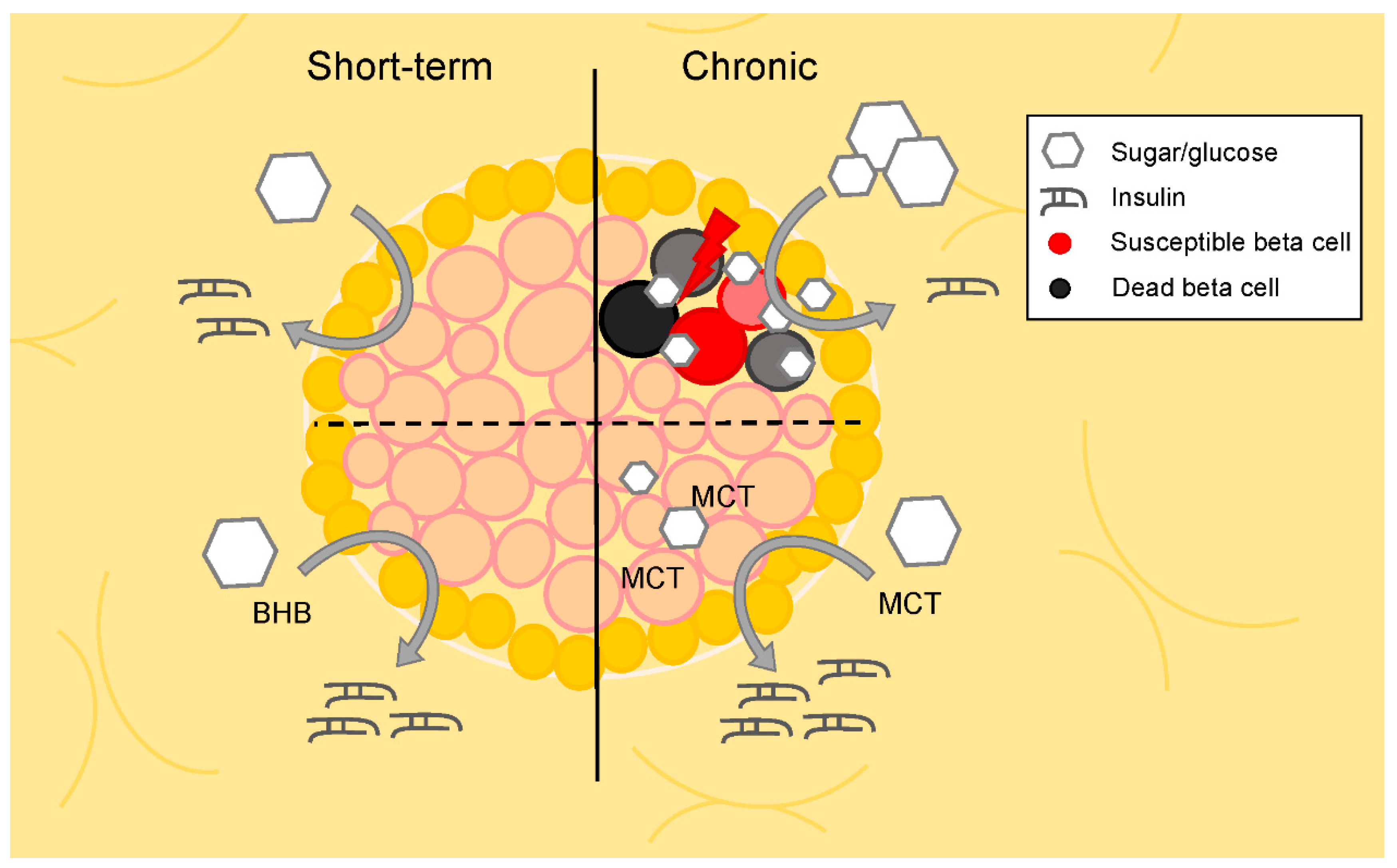 Metabolites 10 00455 g002 Metabolites 10 00455 g002