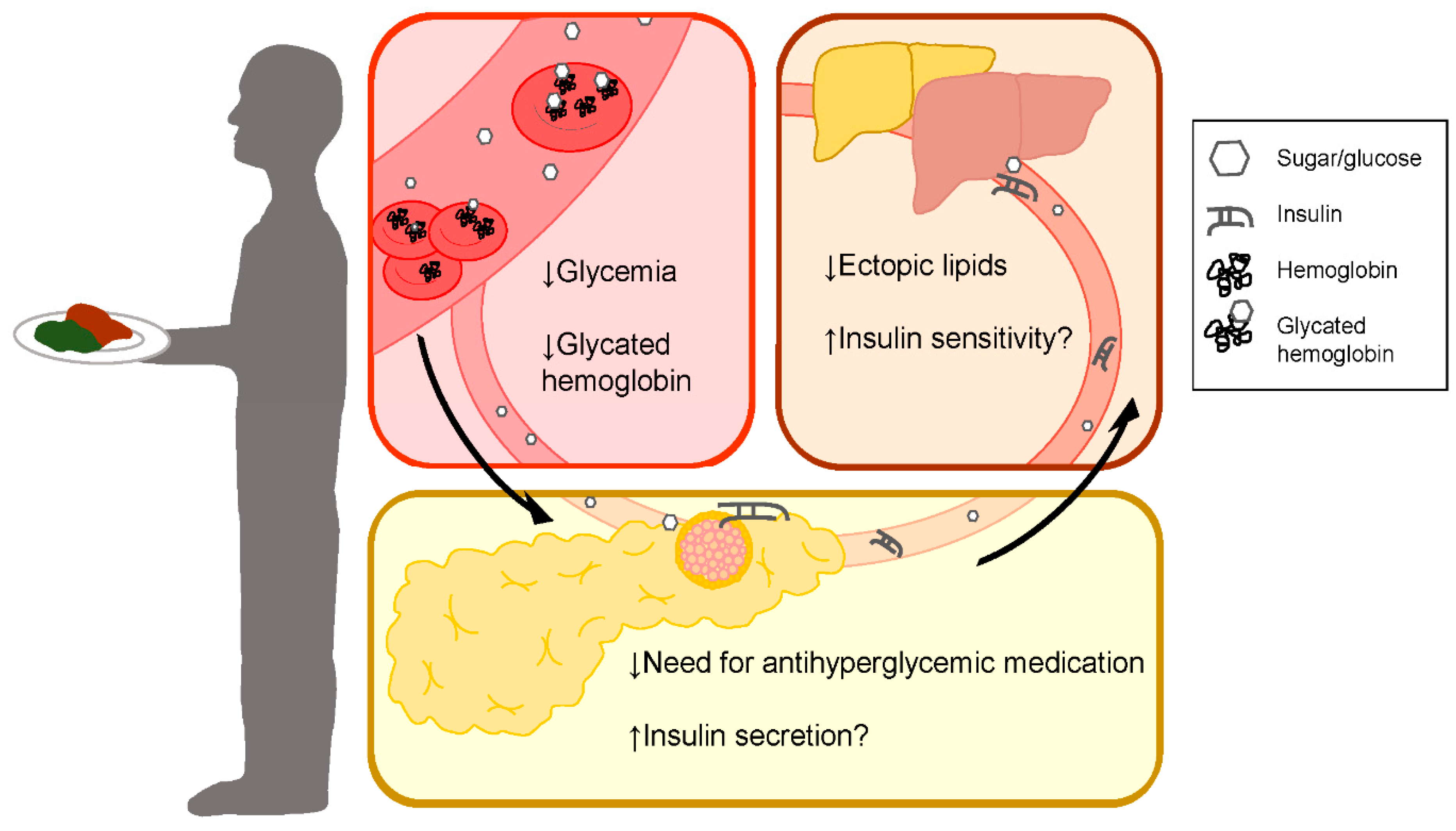 Metabolites 10 00455 g003 Metabolites 10 00455 g003