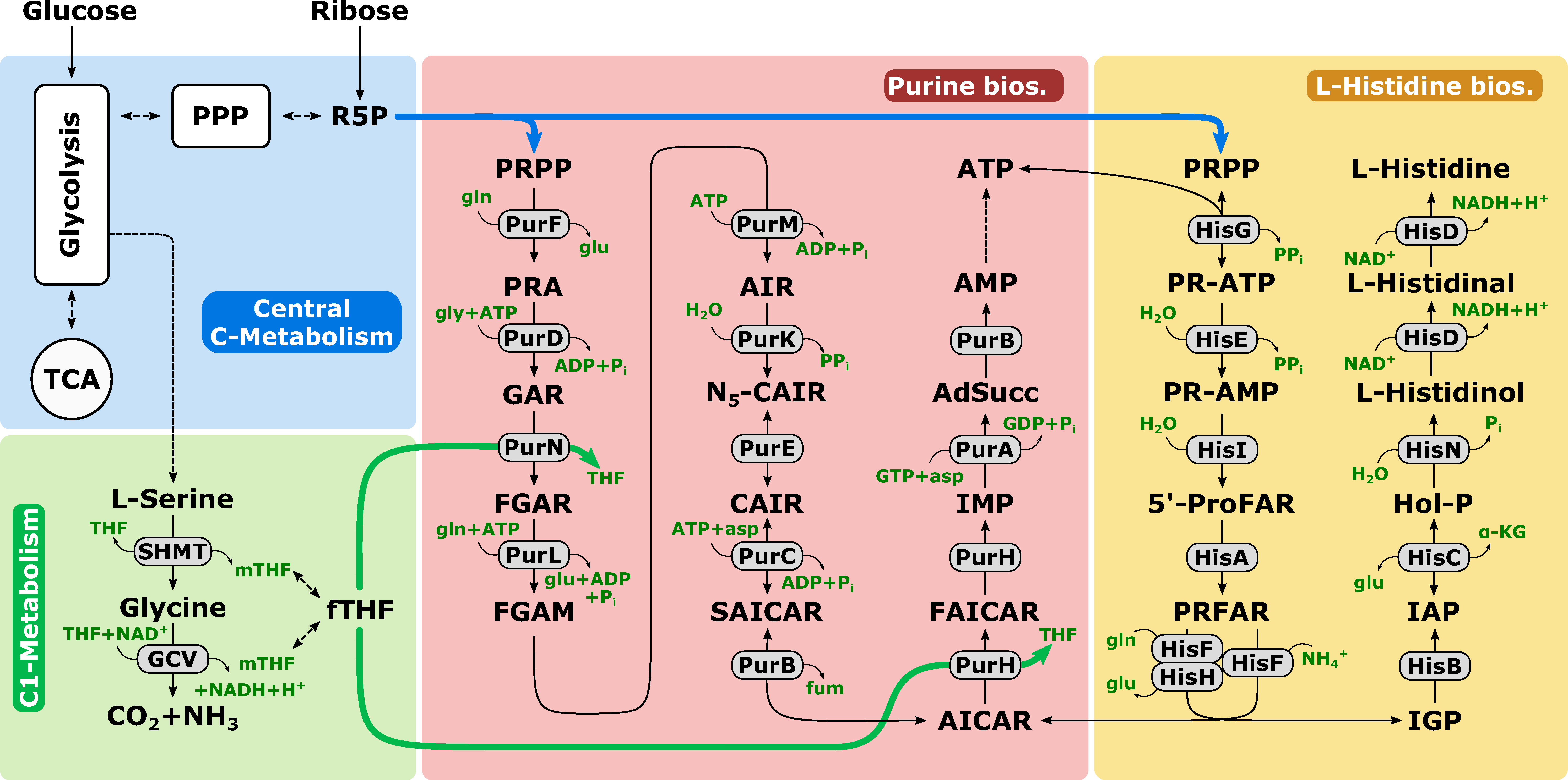 Metabolites 10 00458 g001