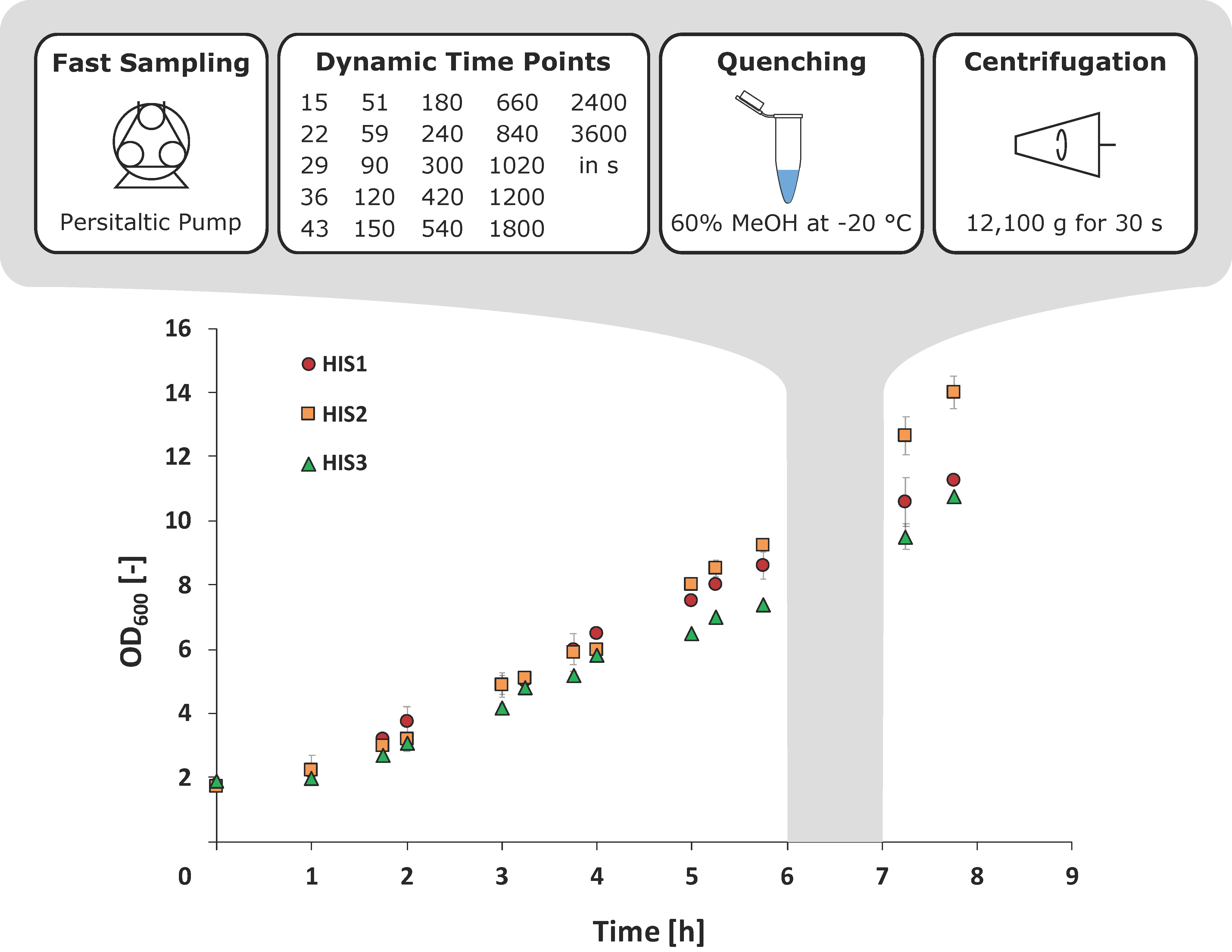 Metabolites 10 00458 g004