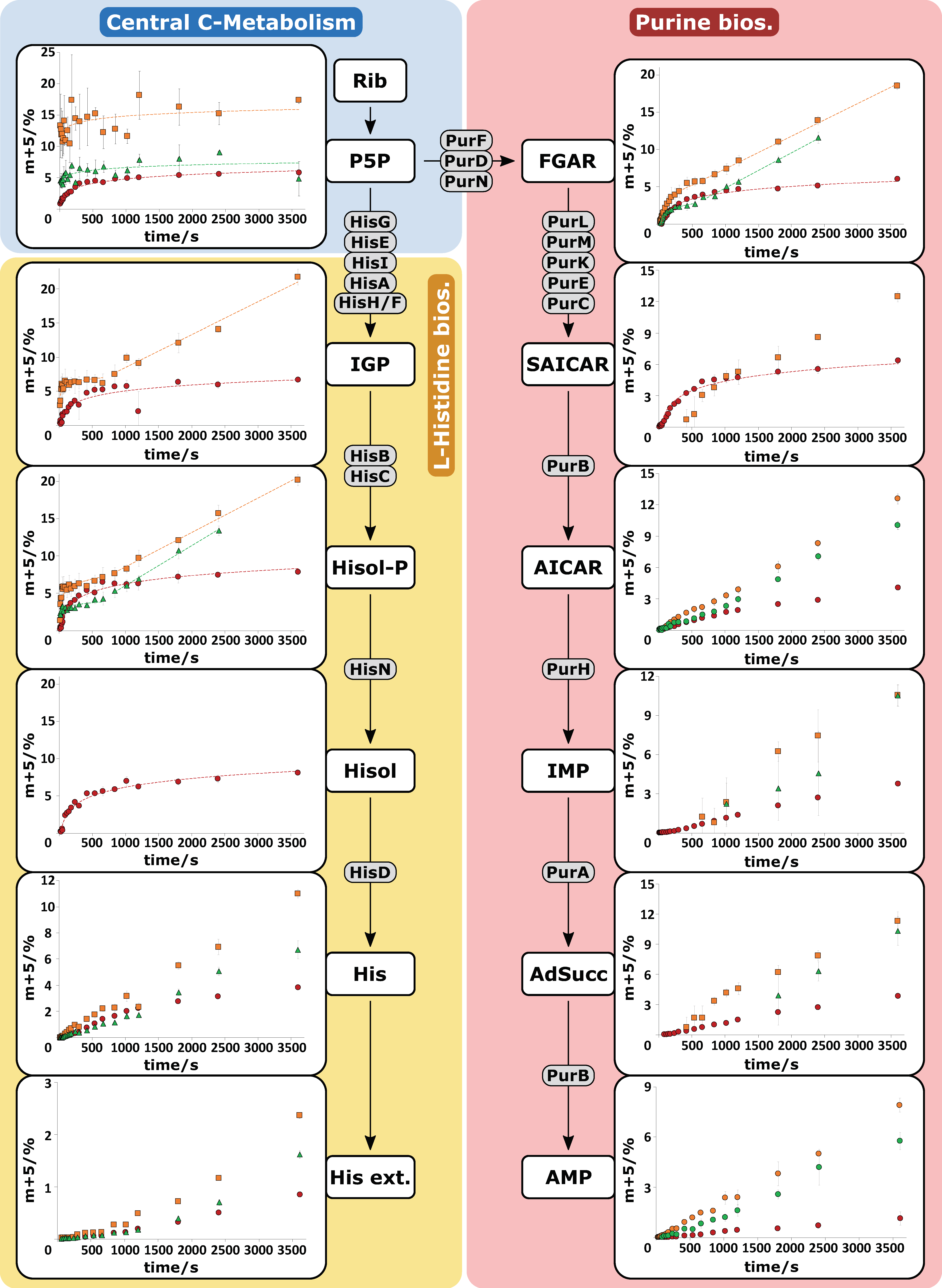Metabolites 10 00458 g005