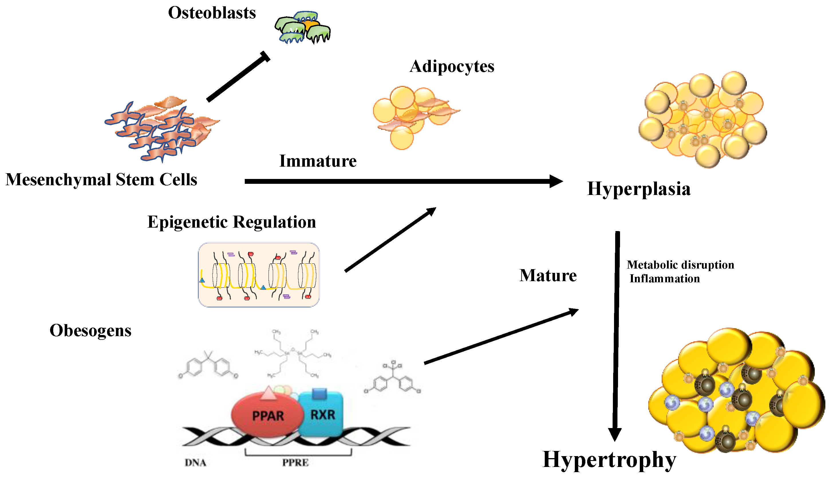 Metabolites 10 00471 g002 Metabolites 10 00471 g002