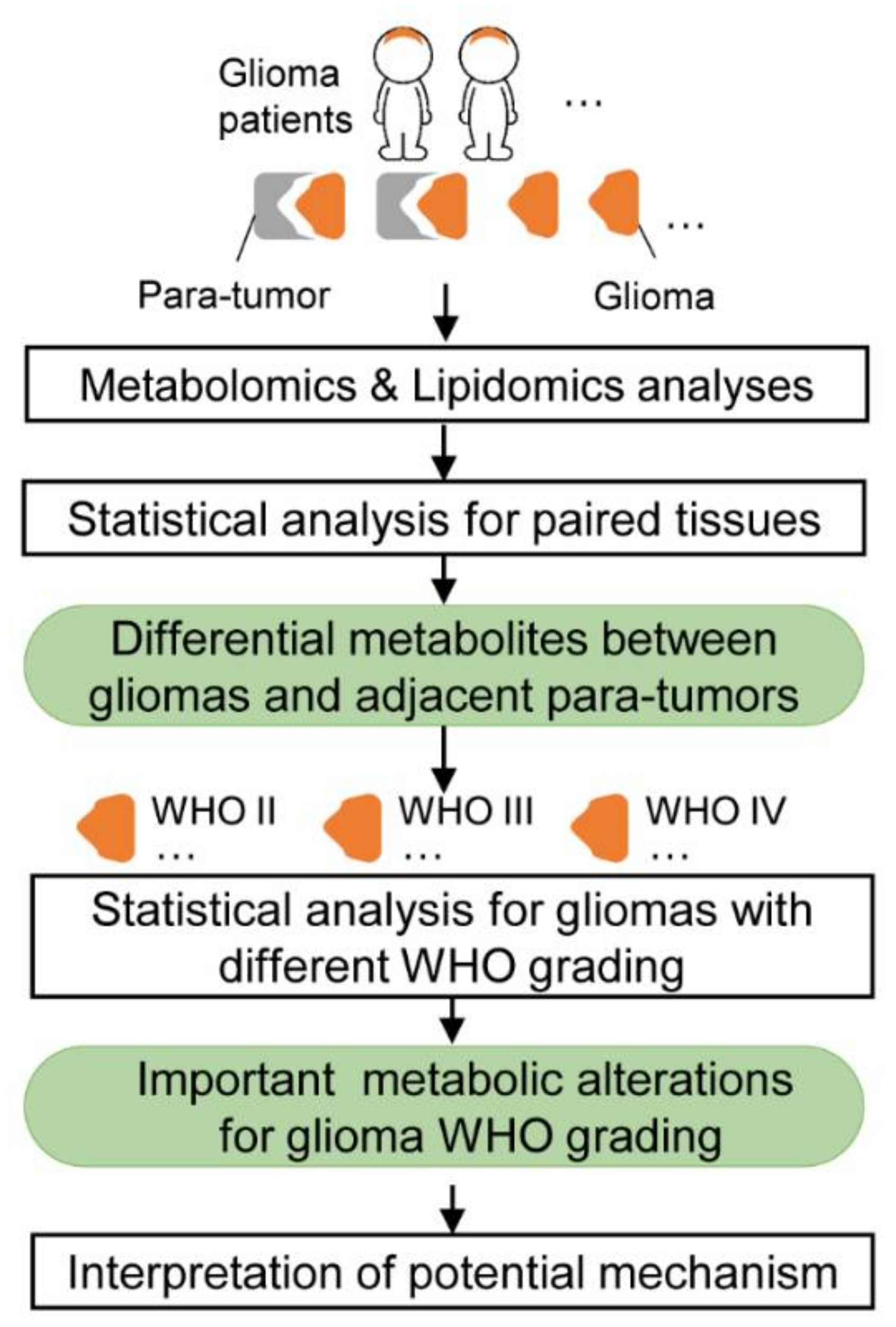 Metabolites 10 00478 g001