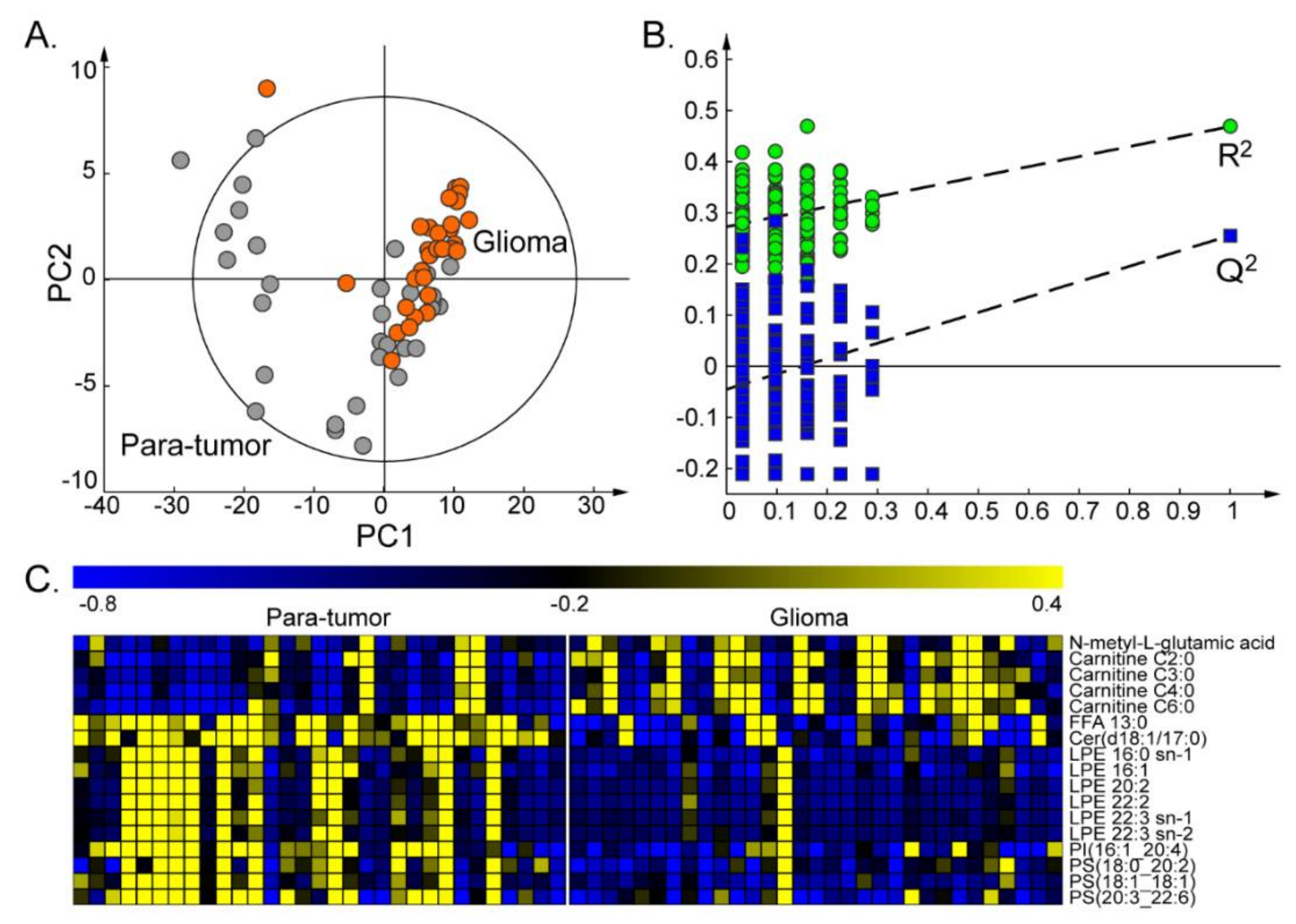 Metabolites 10 00478 g002