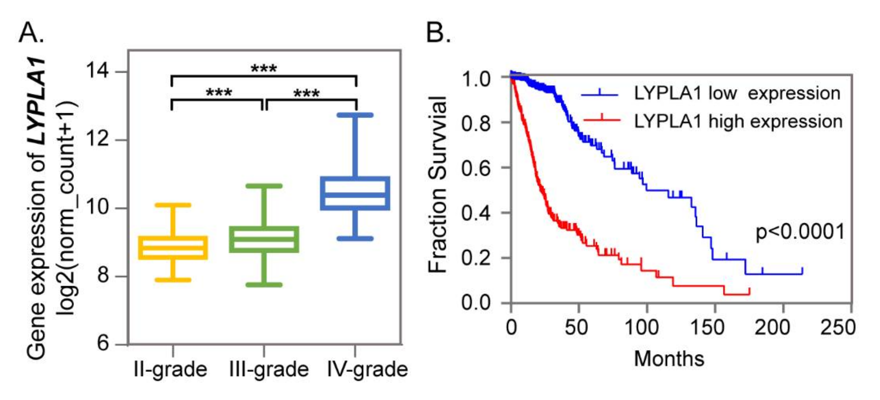 Metabolites 10 00478 g004