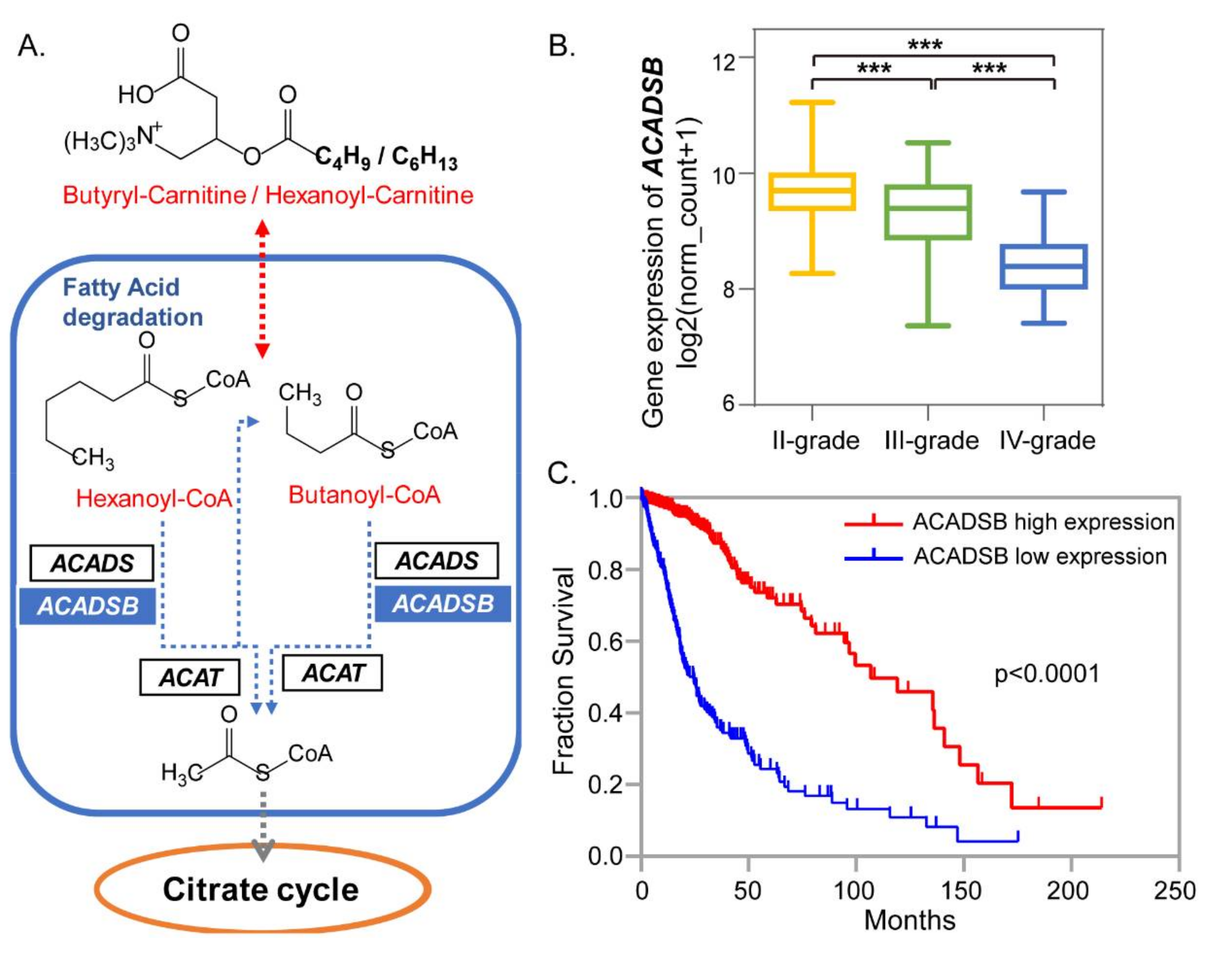 Metabolites 10 00478 g005
