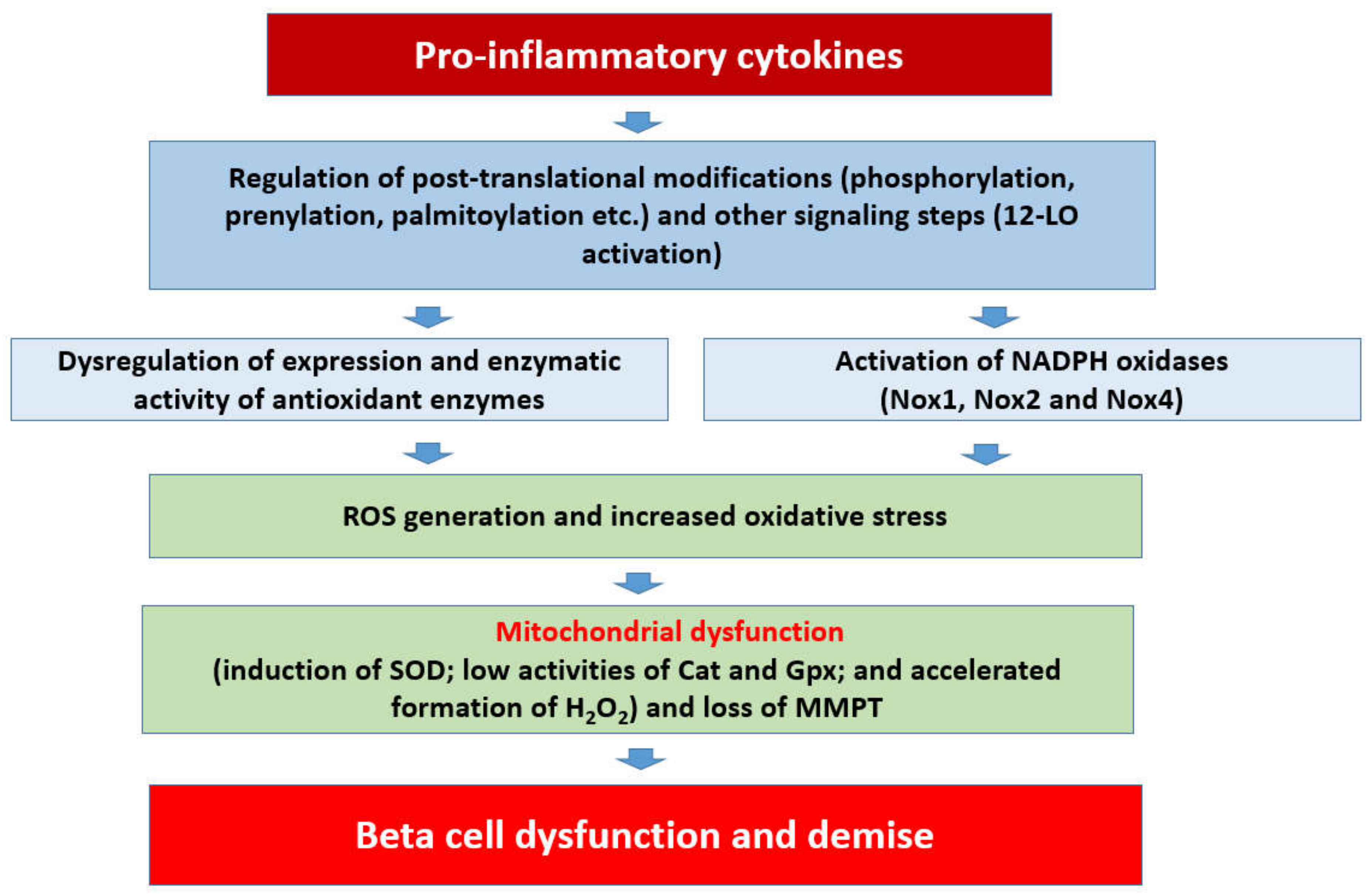 Metabolites 10 00480 g002