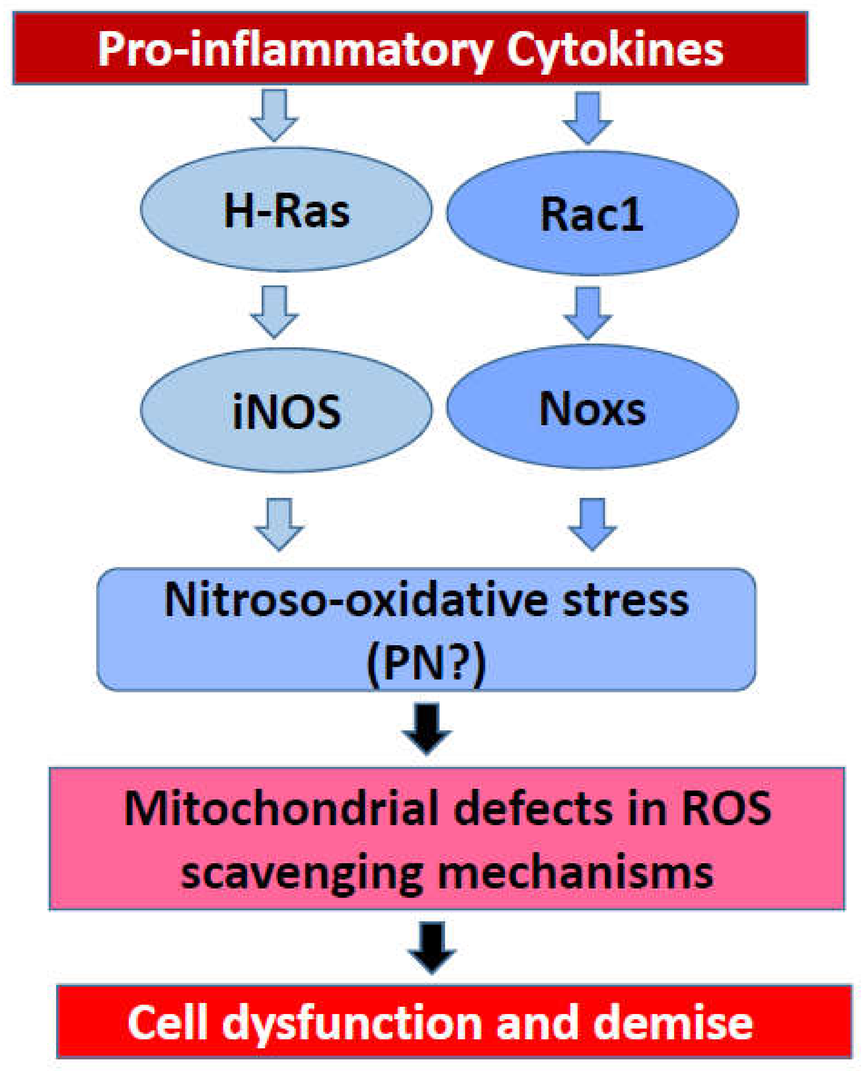 Metabolites 10 00480 g003