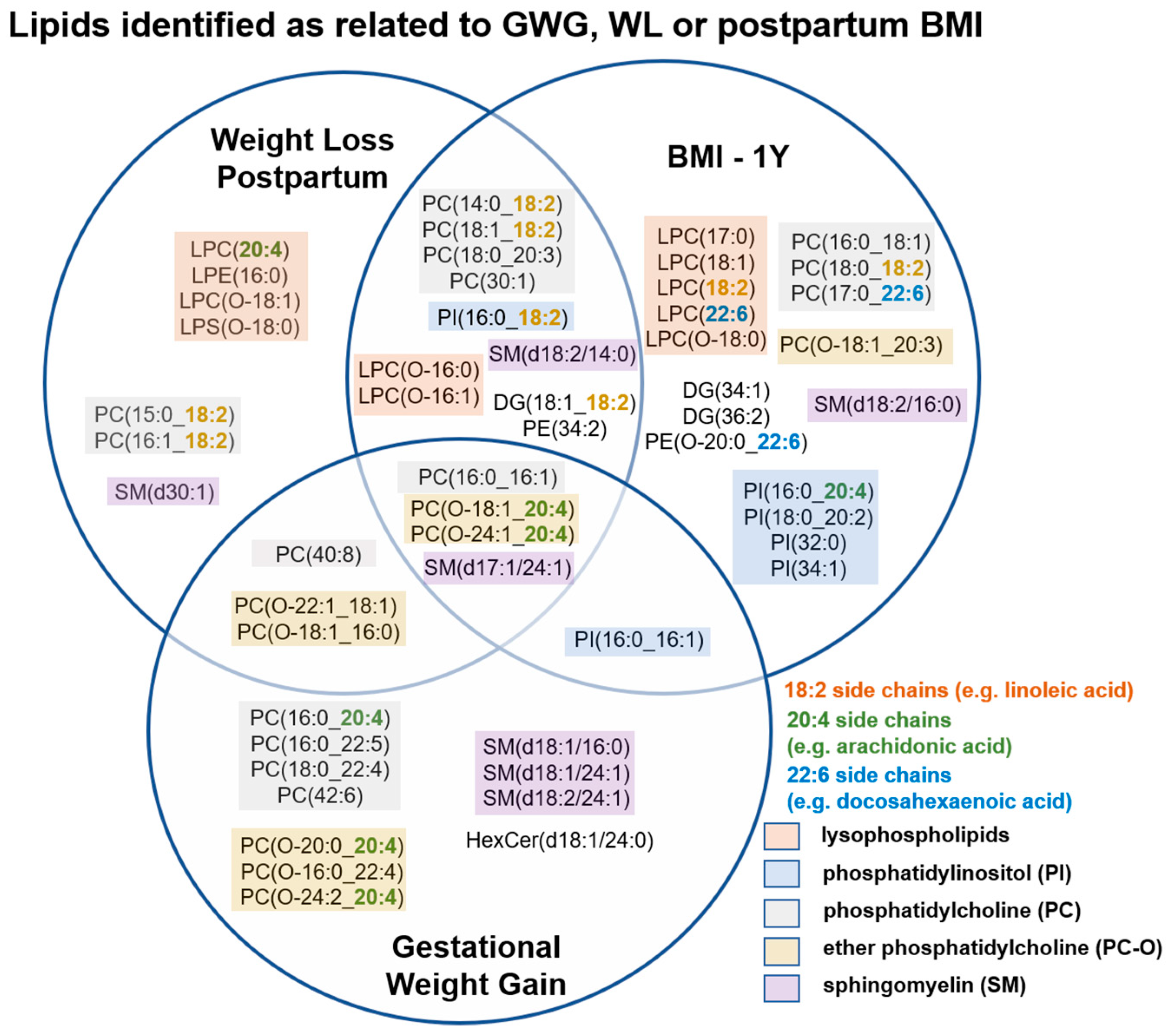 Metabolites 10 00498 g002