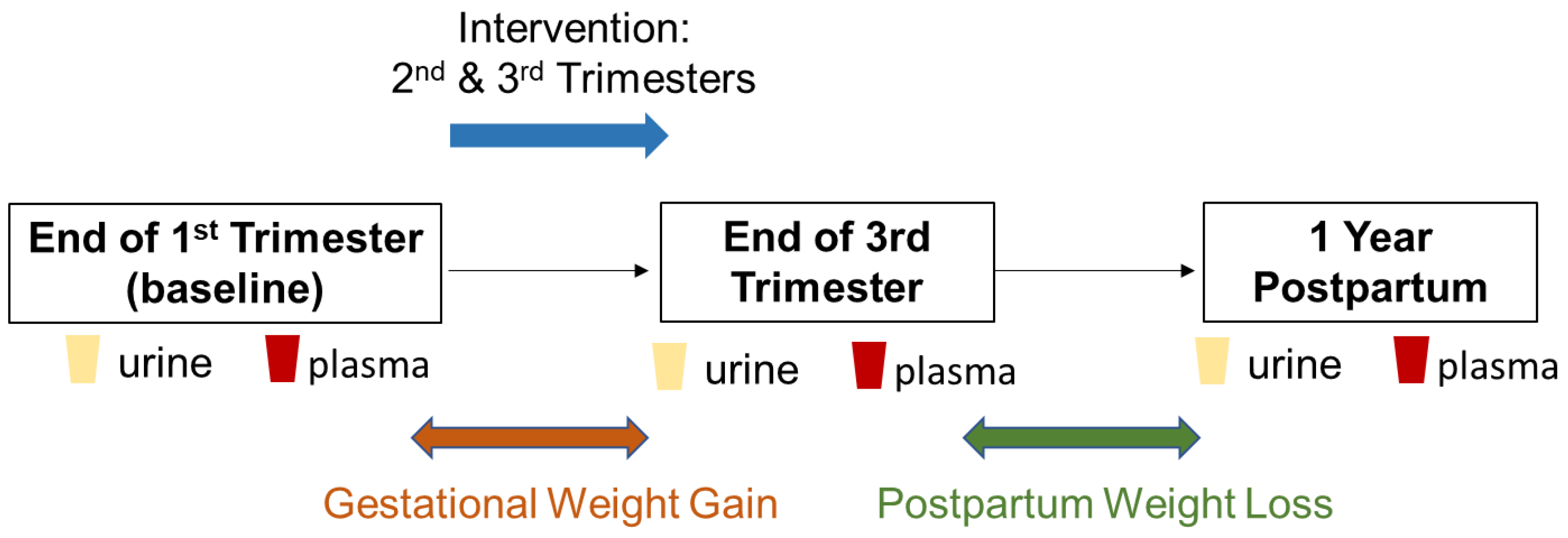 Metabolites 10 00498 g005