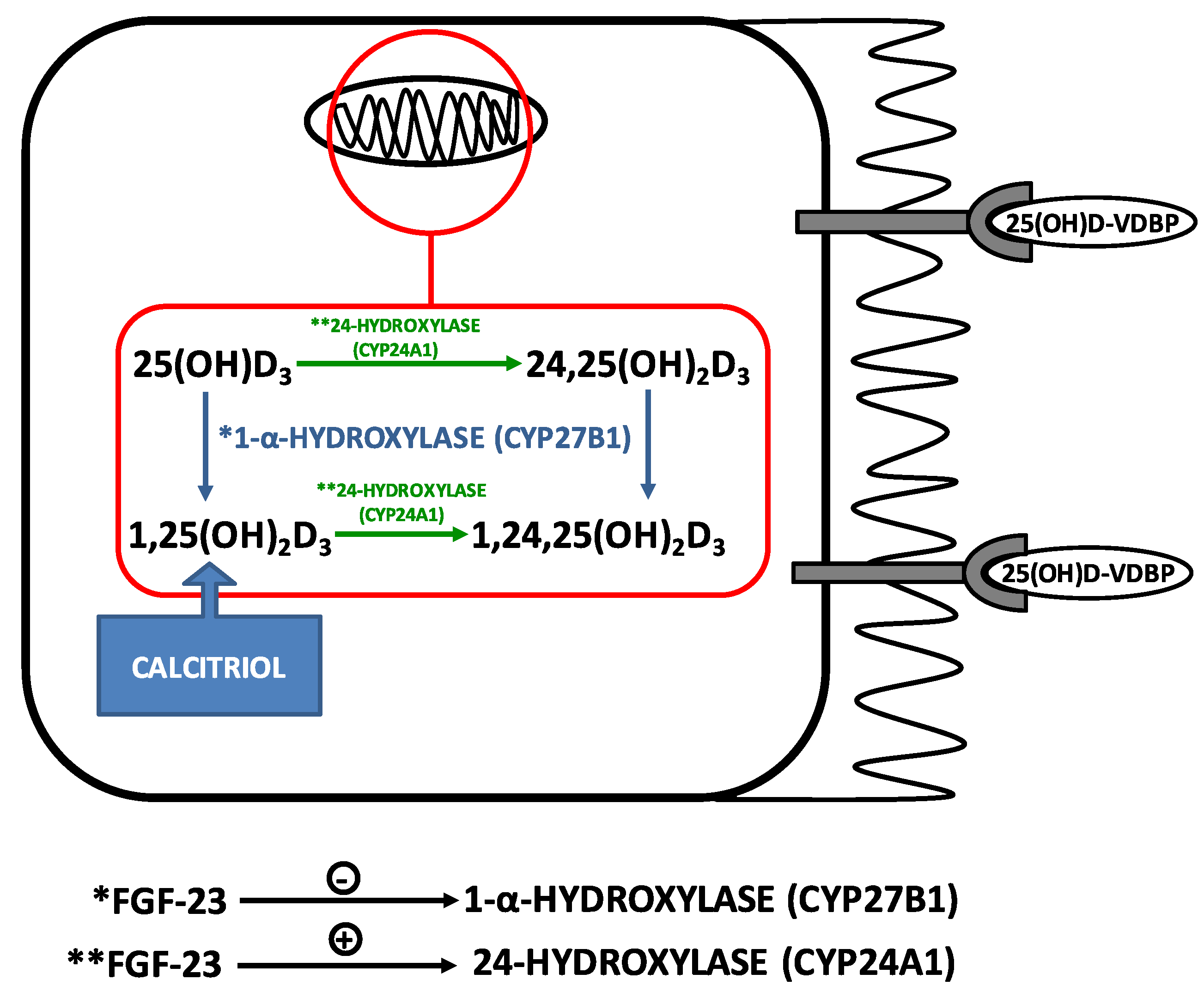 Metabolites 10 00499 g002 Metabolites 10 00499 g002