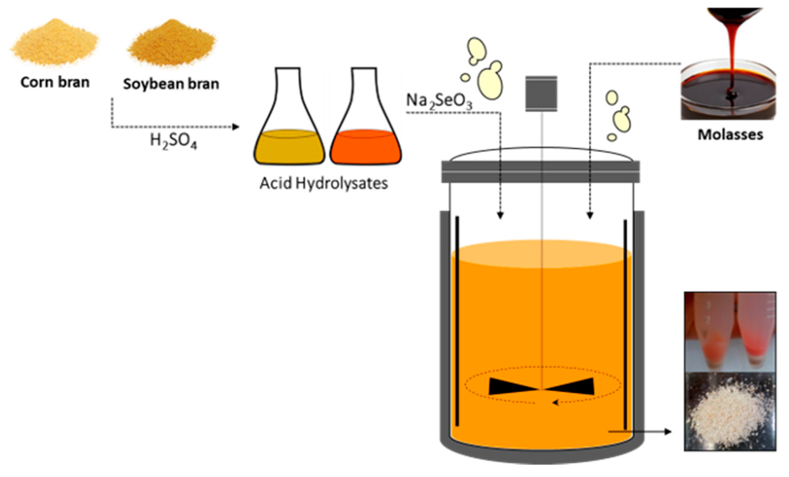 Metabolites 10 00508 g002 Metabolites 10 00508 g002
