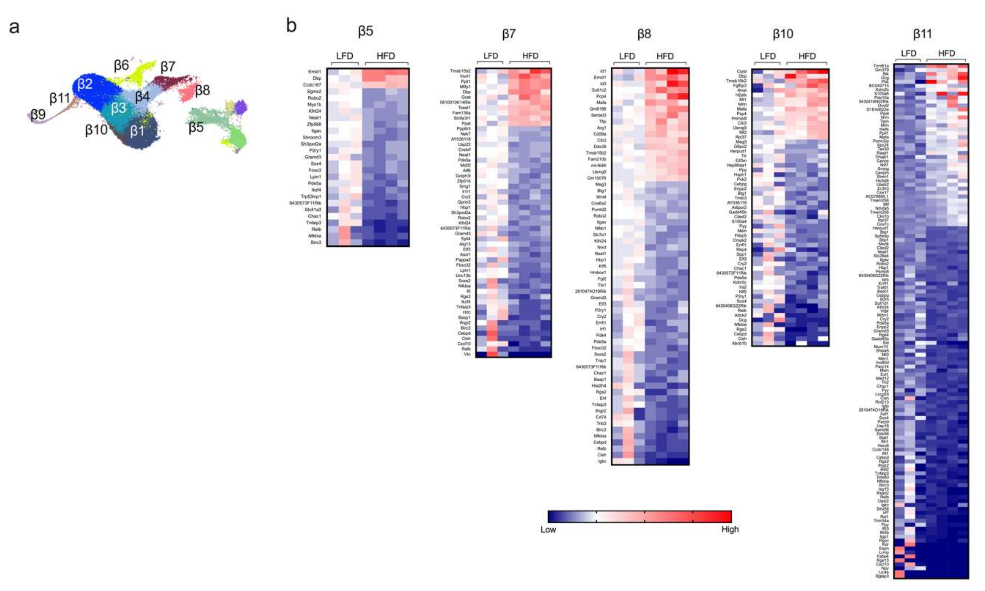 Metabolites 10 00513 g002