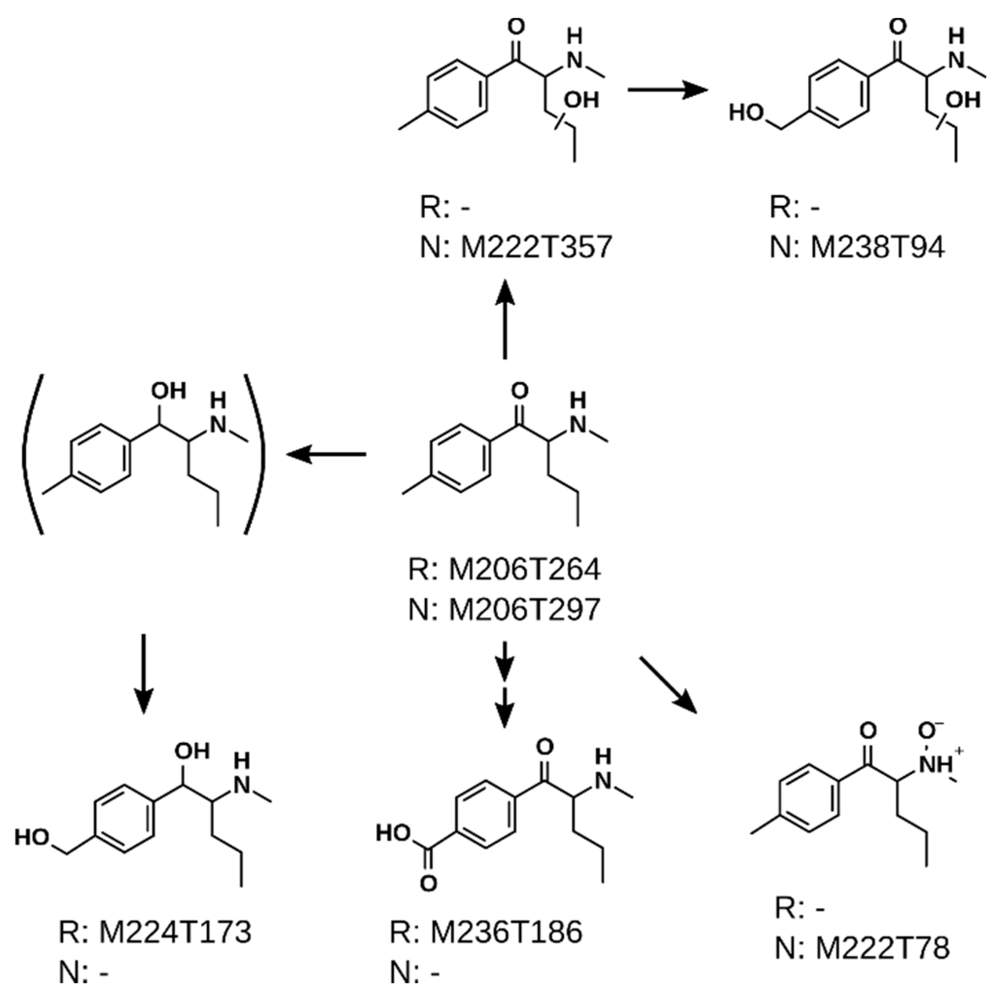 Metabolites 11 00003 g004